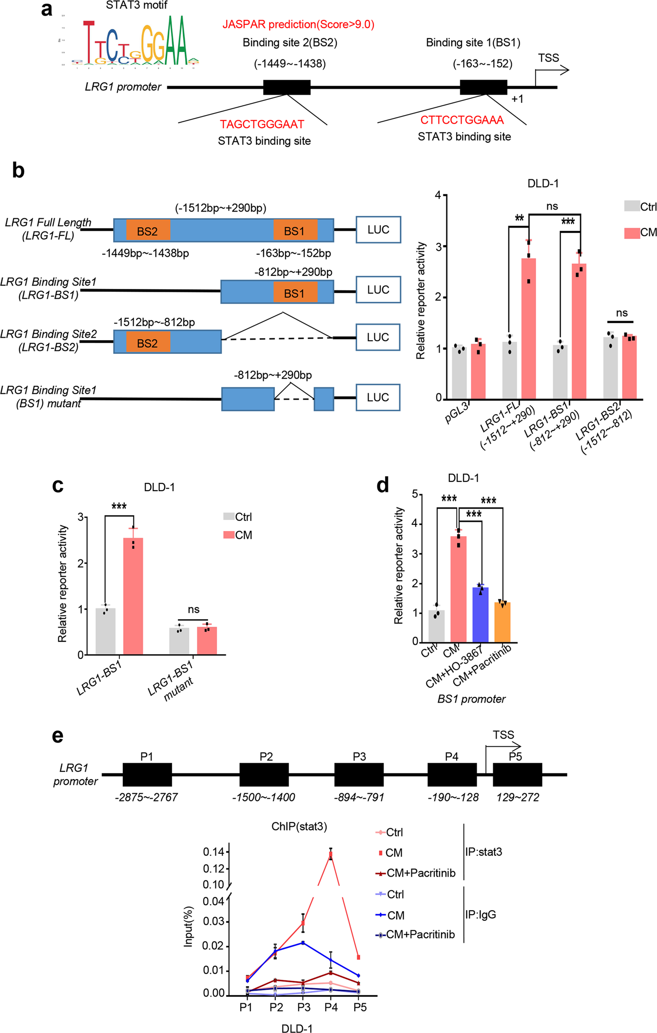 Fig. 5: STAT3 regulates LRG1 expression through direct binding to its promoter.
