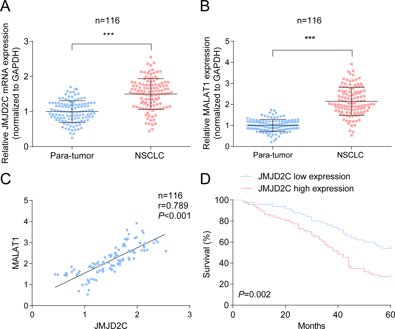 Fig. 1: JMJD2C-related MALAT1 is highly expressed in NSCLC tissues.