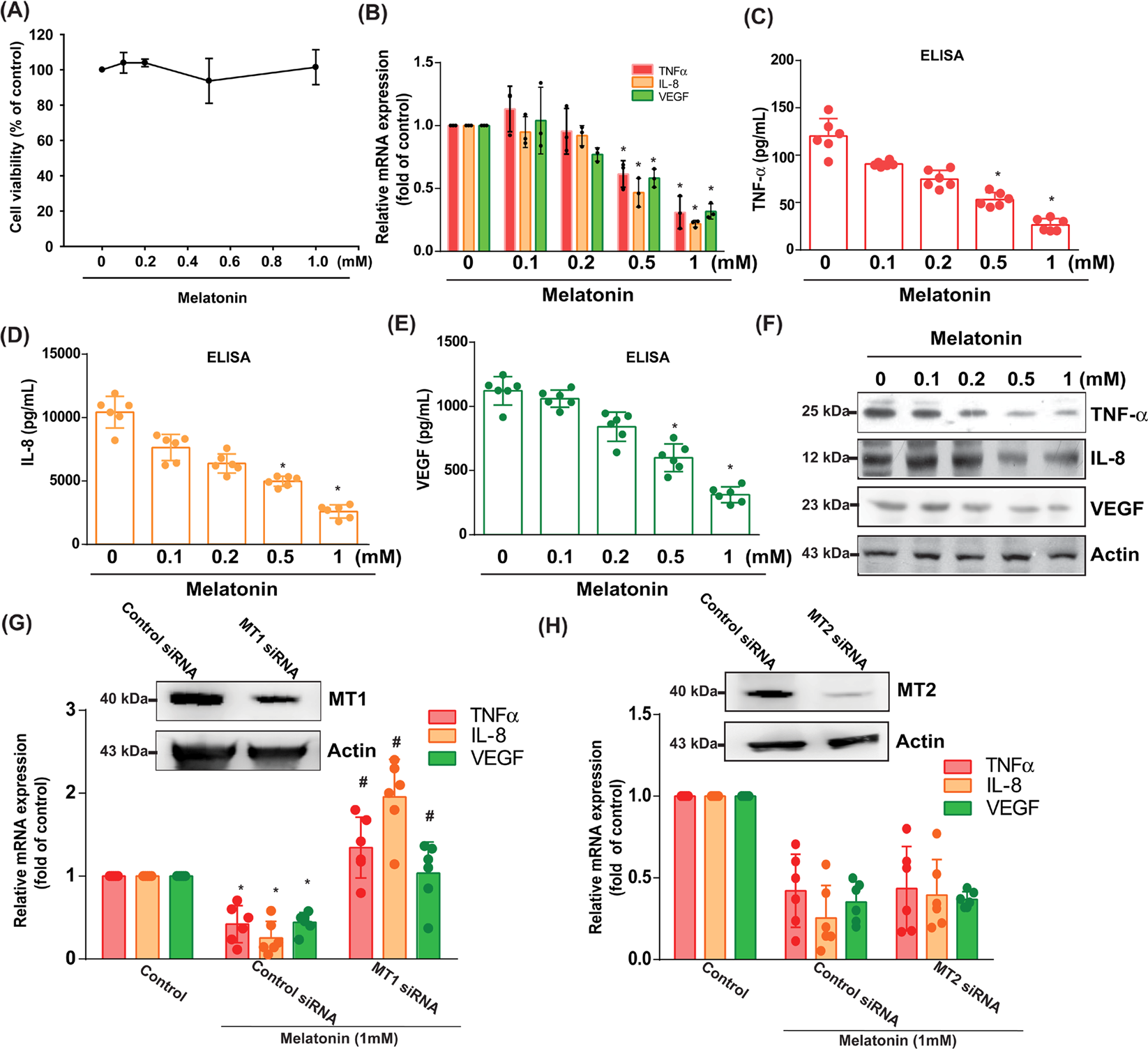 Fig. 2: The MT1 receptor is essential for the inhibitory effects of melatonin upon proinflammatory factor expression in human OASFs.