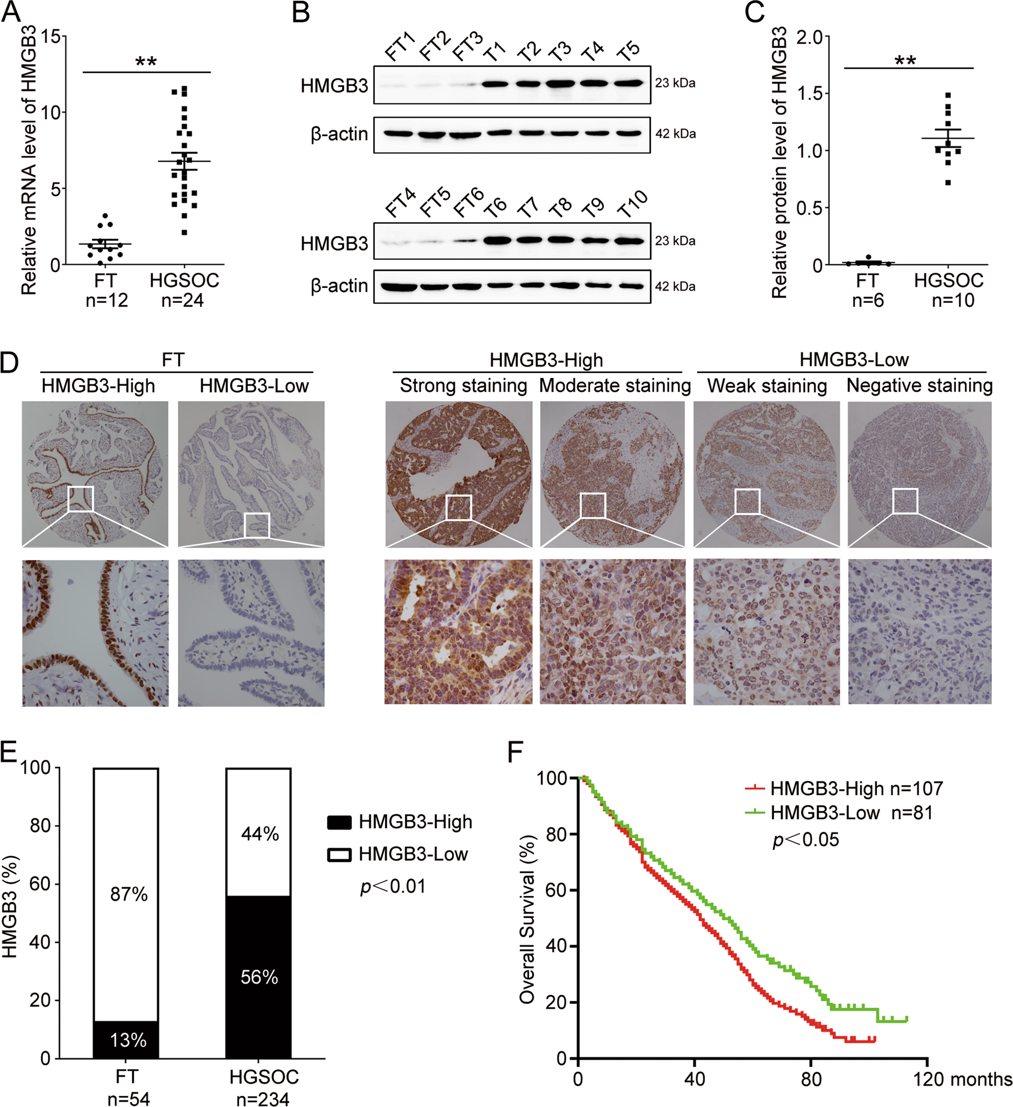 Targeting by PG545 enhances PARP inhibitor response in ovarian cancer