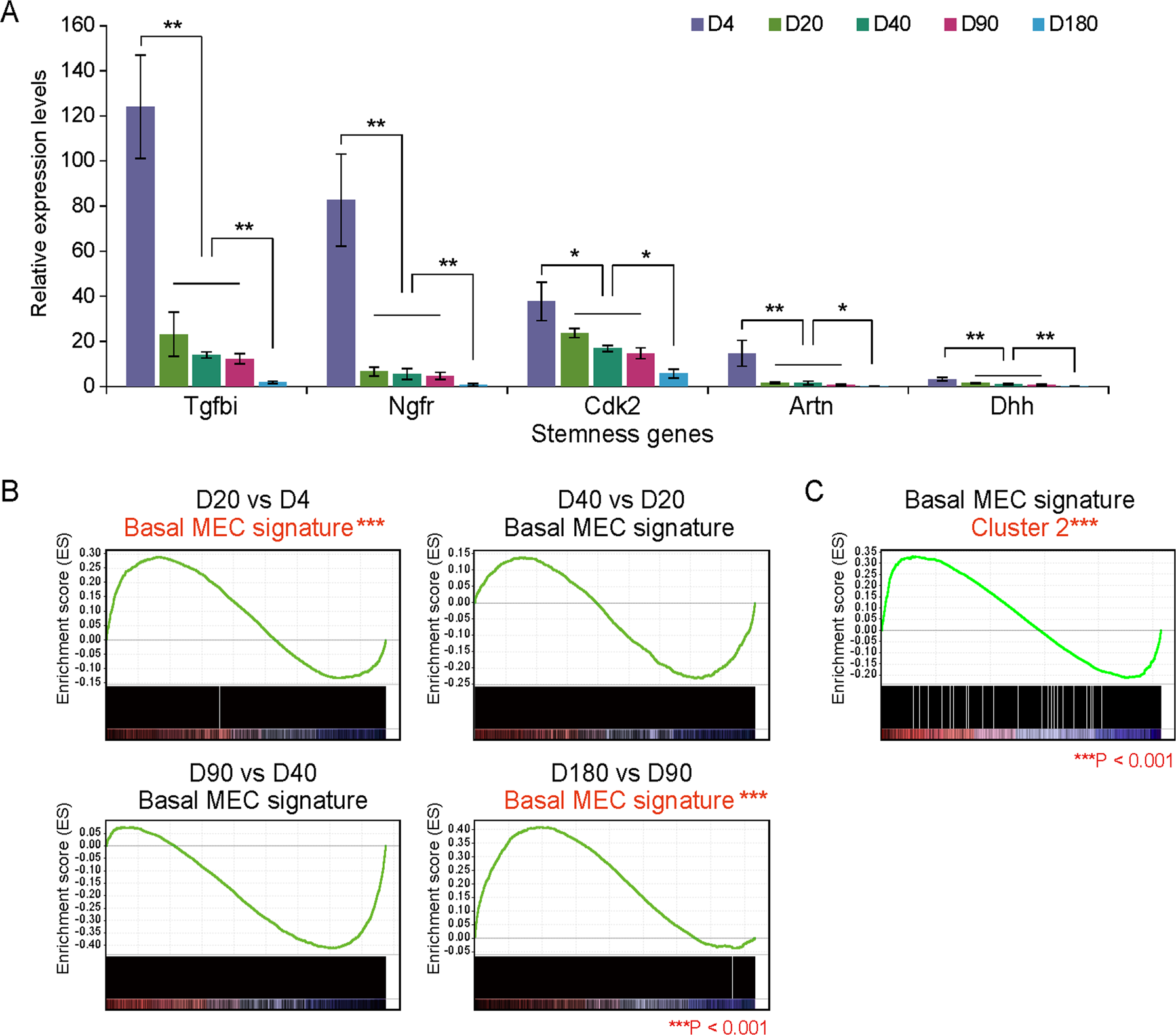 Fig. 5: Stem cell-related gene expression signature.