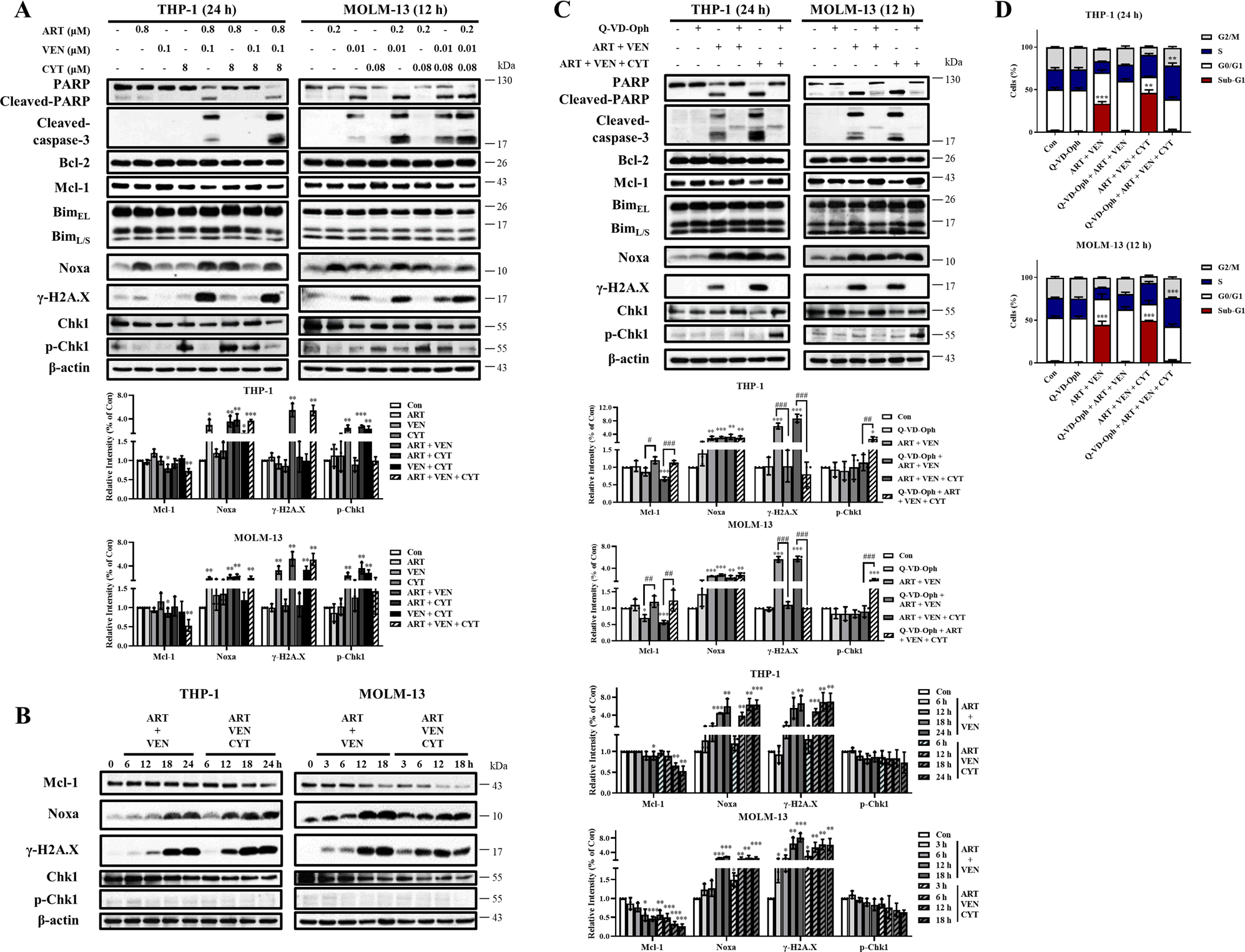 Fig. 5: The triple combination has increased DNA damage marker γ-H2A.X with reduced Mcl-1 and repressed p-Chk1.