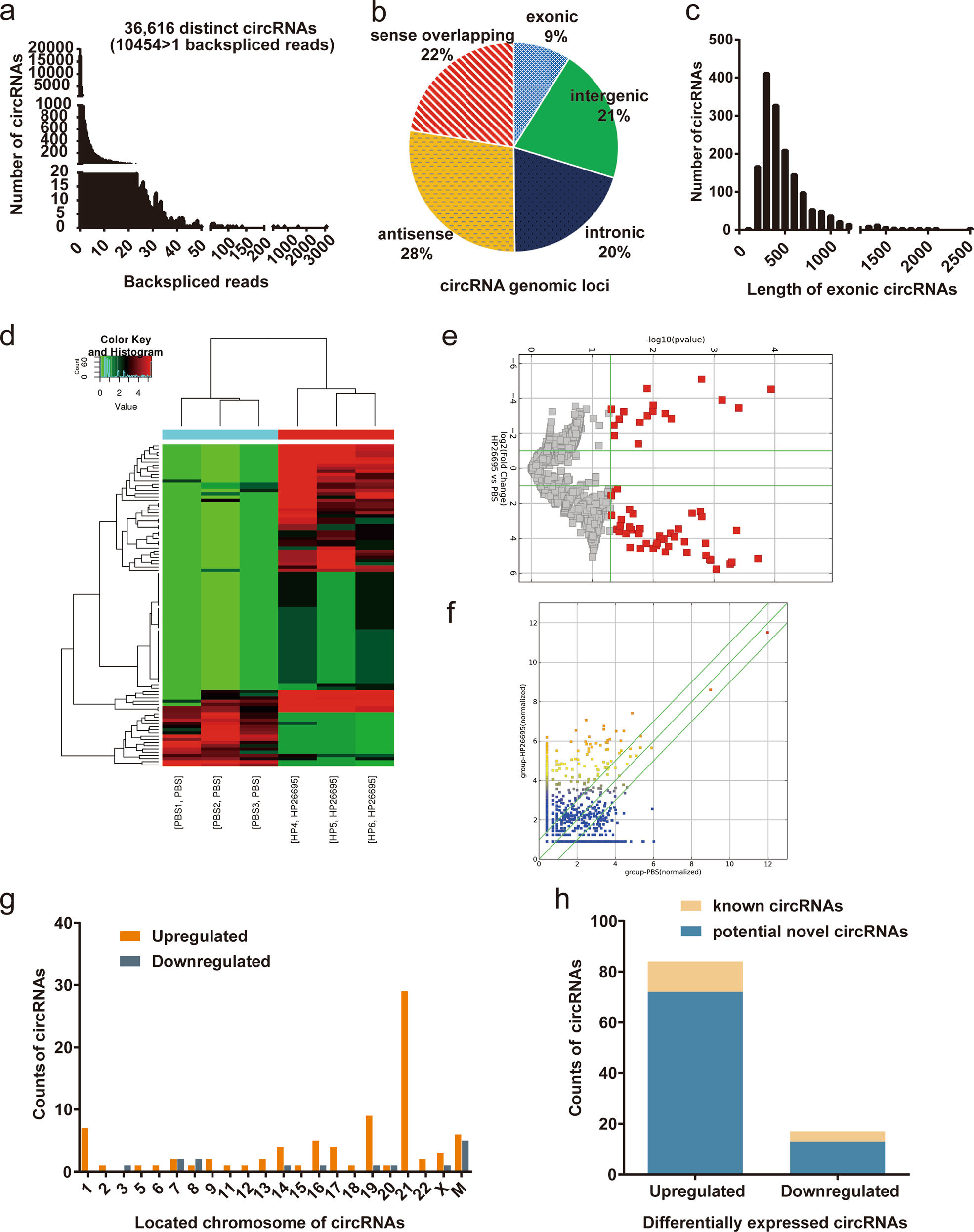 Fig. 1: Differentially expressed circRNAs in AGS cells infected with Hp26695 vs. control.