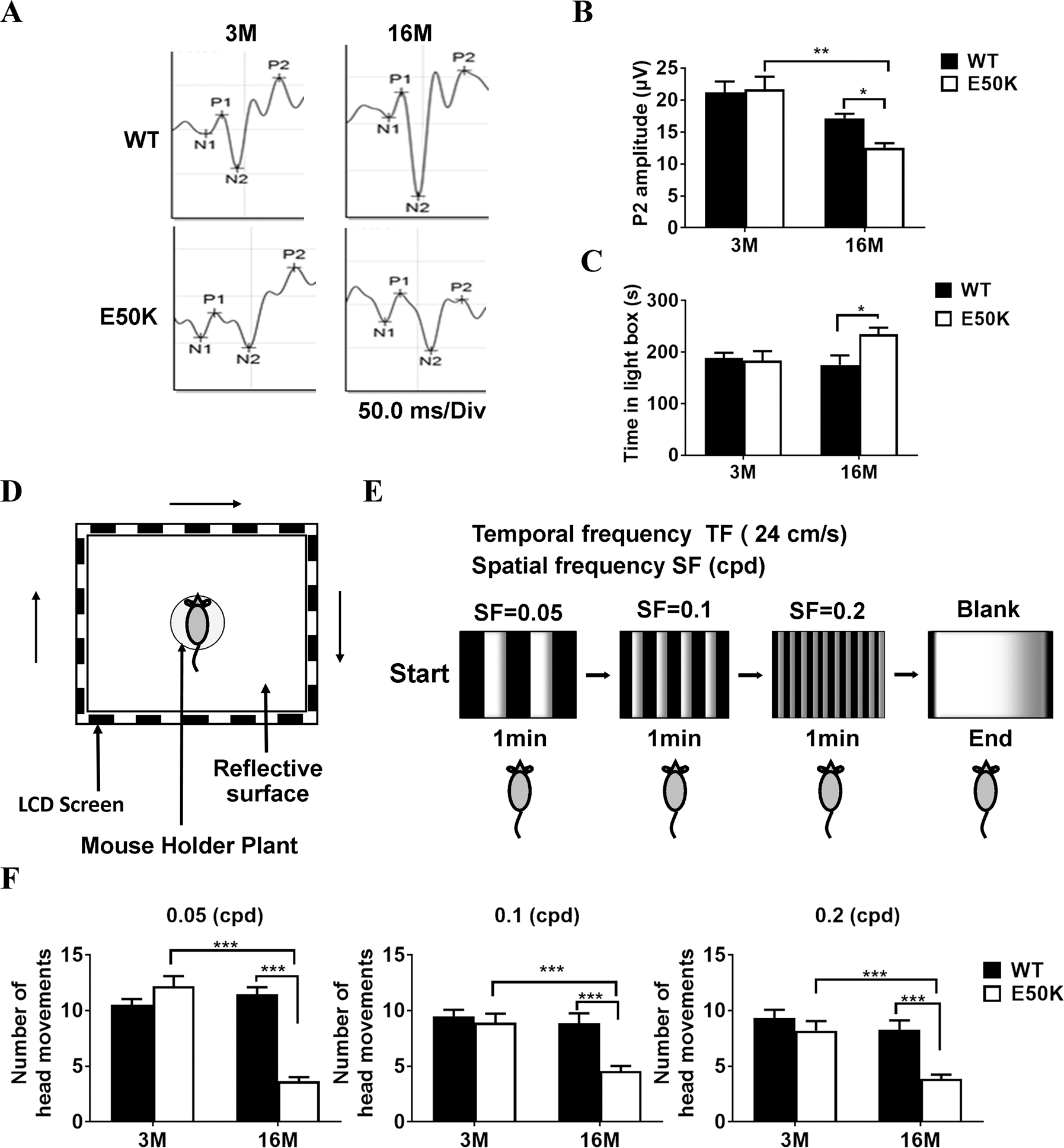 Fig. 2: Evaluation of visual function in WT and OPTN (E50K) mice.