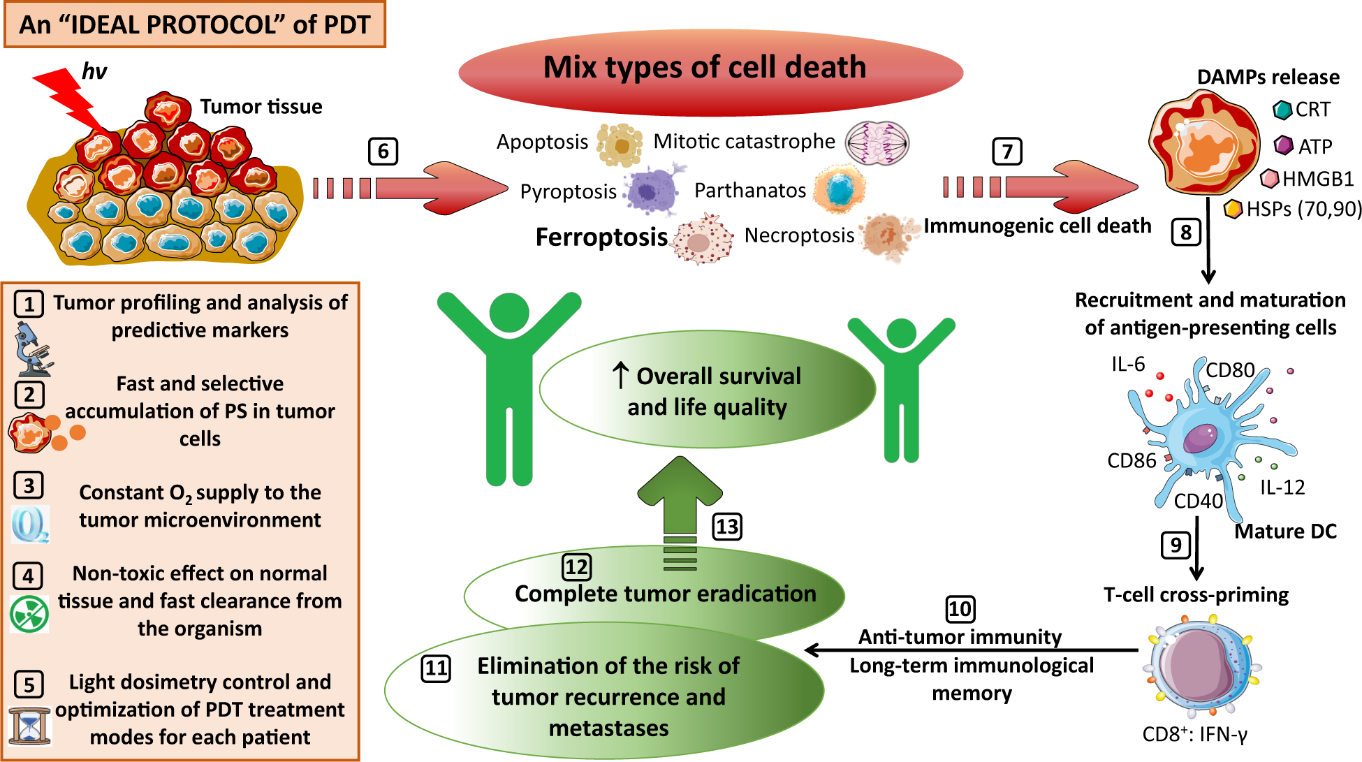 Fig. 3: An “ideal” protocol for PDT.
