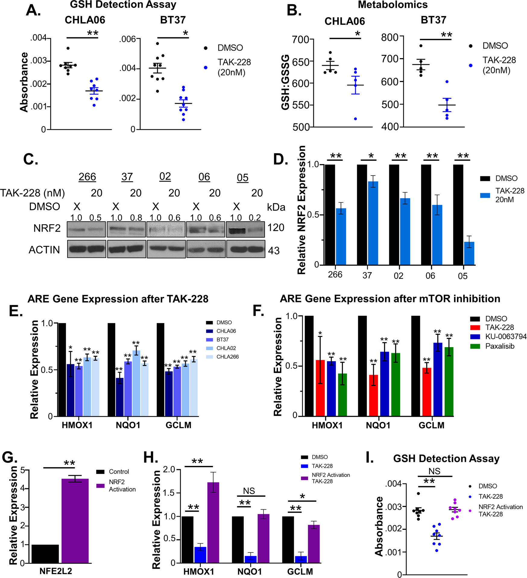 Fig. 2: TAK-228 interferes with NRF2 transcriptional activity to disrupt the oxidative stress response in AT/RT.