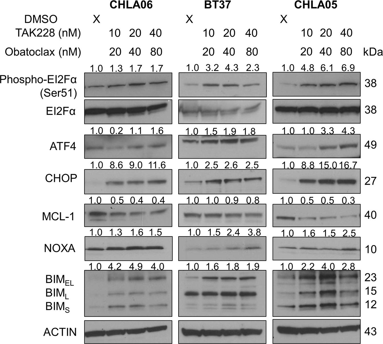 Fig. 6: Combination therapy activates the integrative stress response and disrupts the NOXA.MCL-1.BIM axis, making stressed cells more prone to selection for apoptosis.