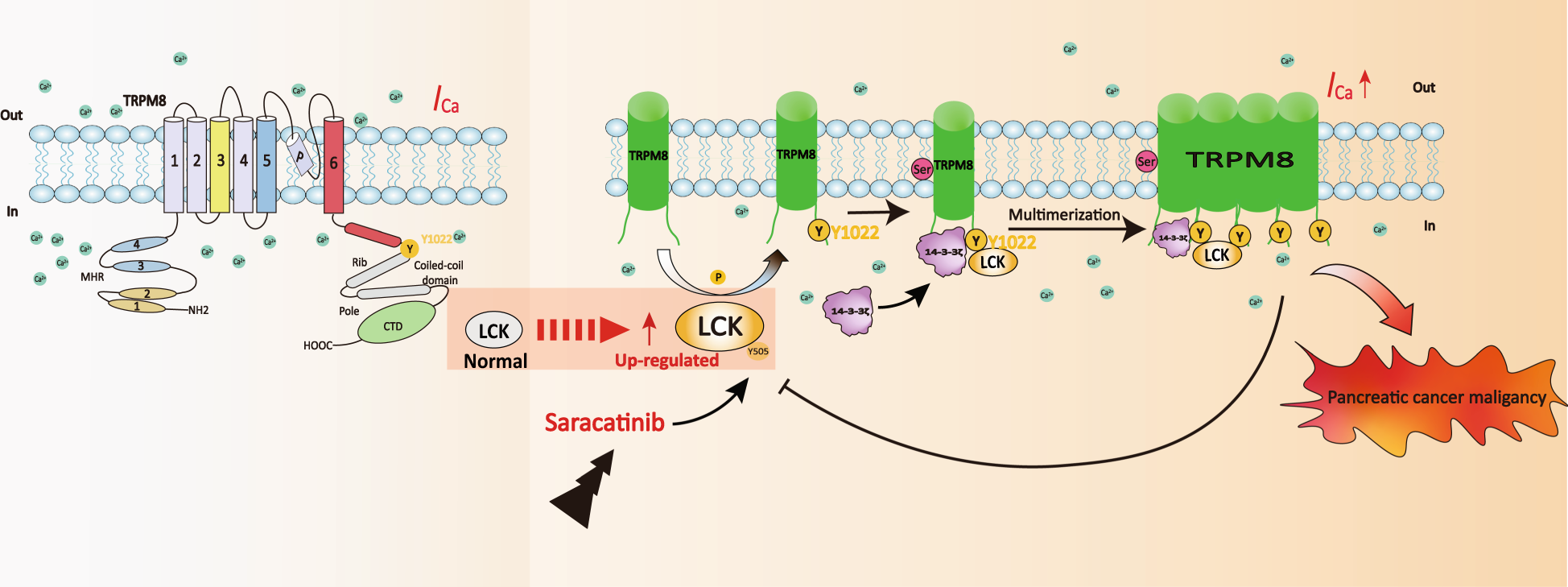 Fig. 9: Schematic diagram.