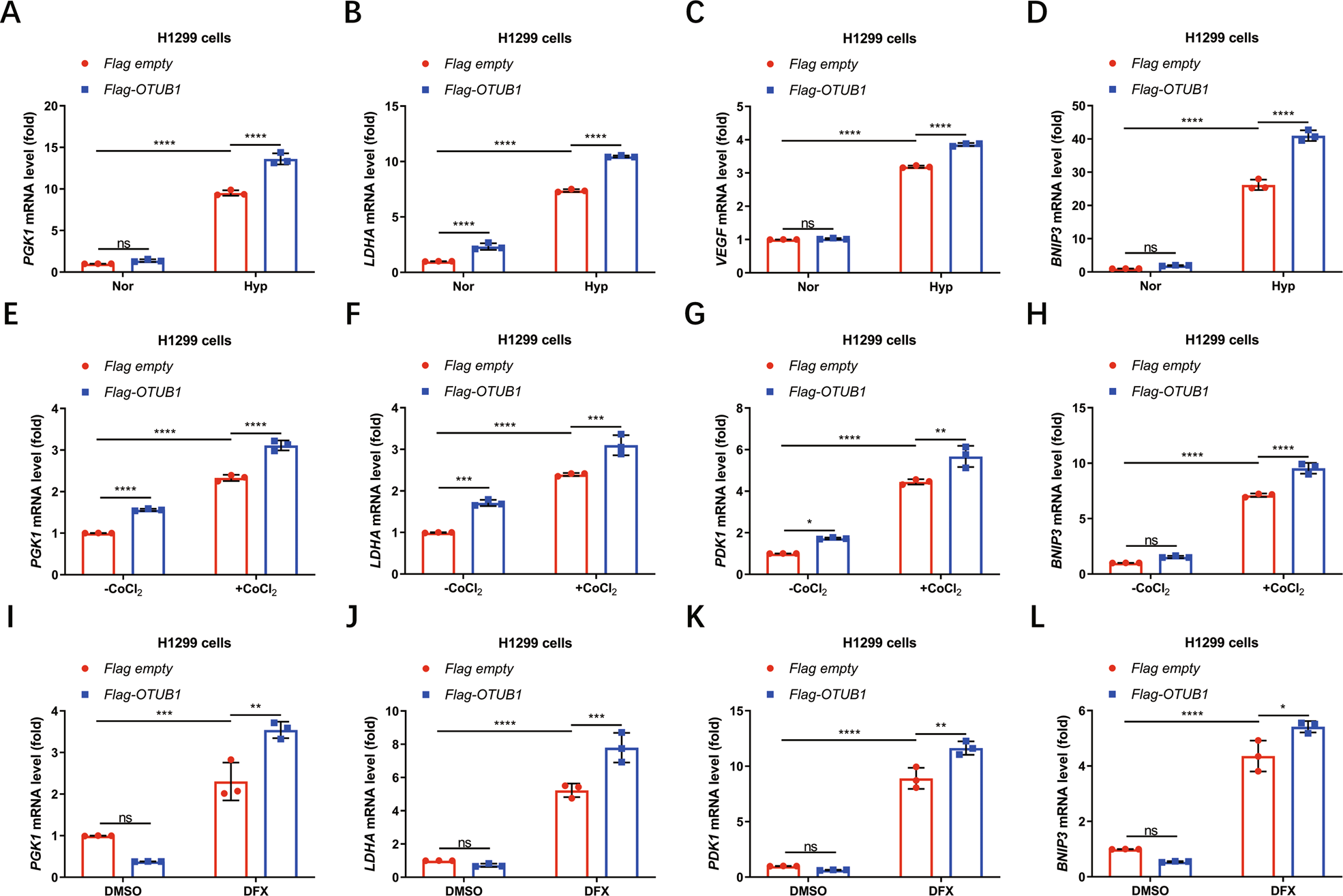 Fig. 1: OTUB1 augments hypoxia signaling.