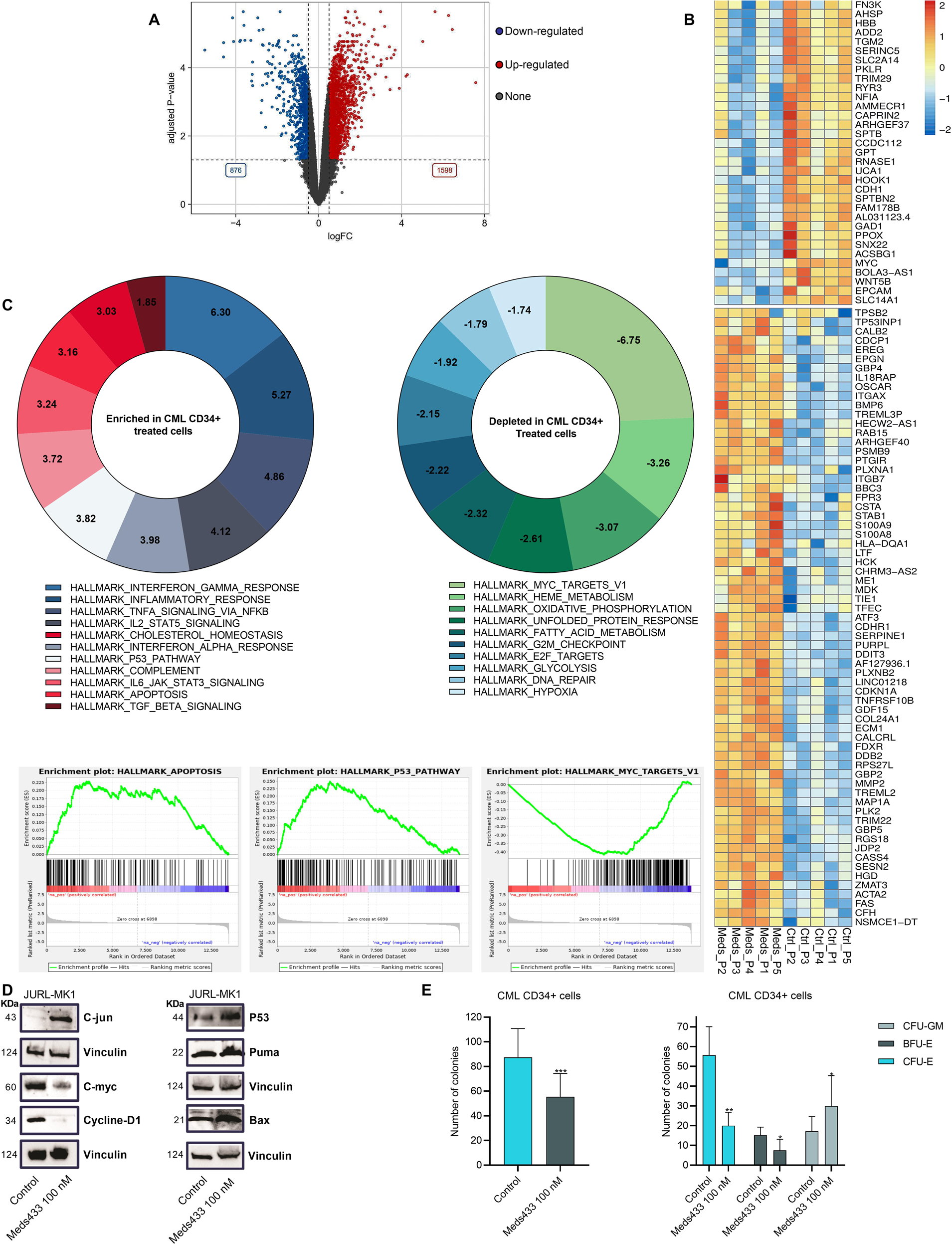 Fig. 4: RNA-seq analysis following DHODH inhibition in CML.