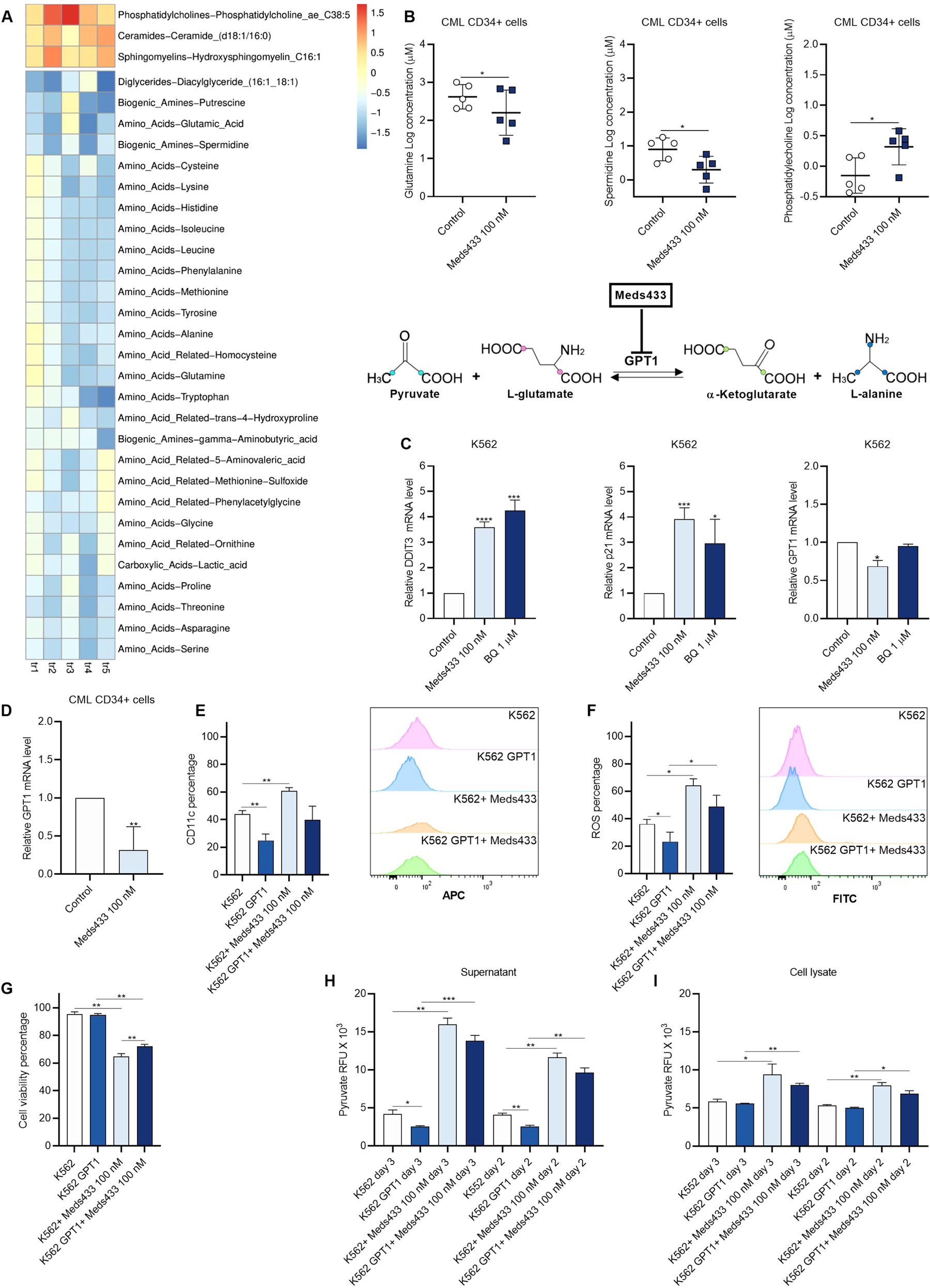 Fig. 6: DHODH inhibition changes the metabolic profile in CML CD34+ cells.