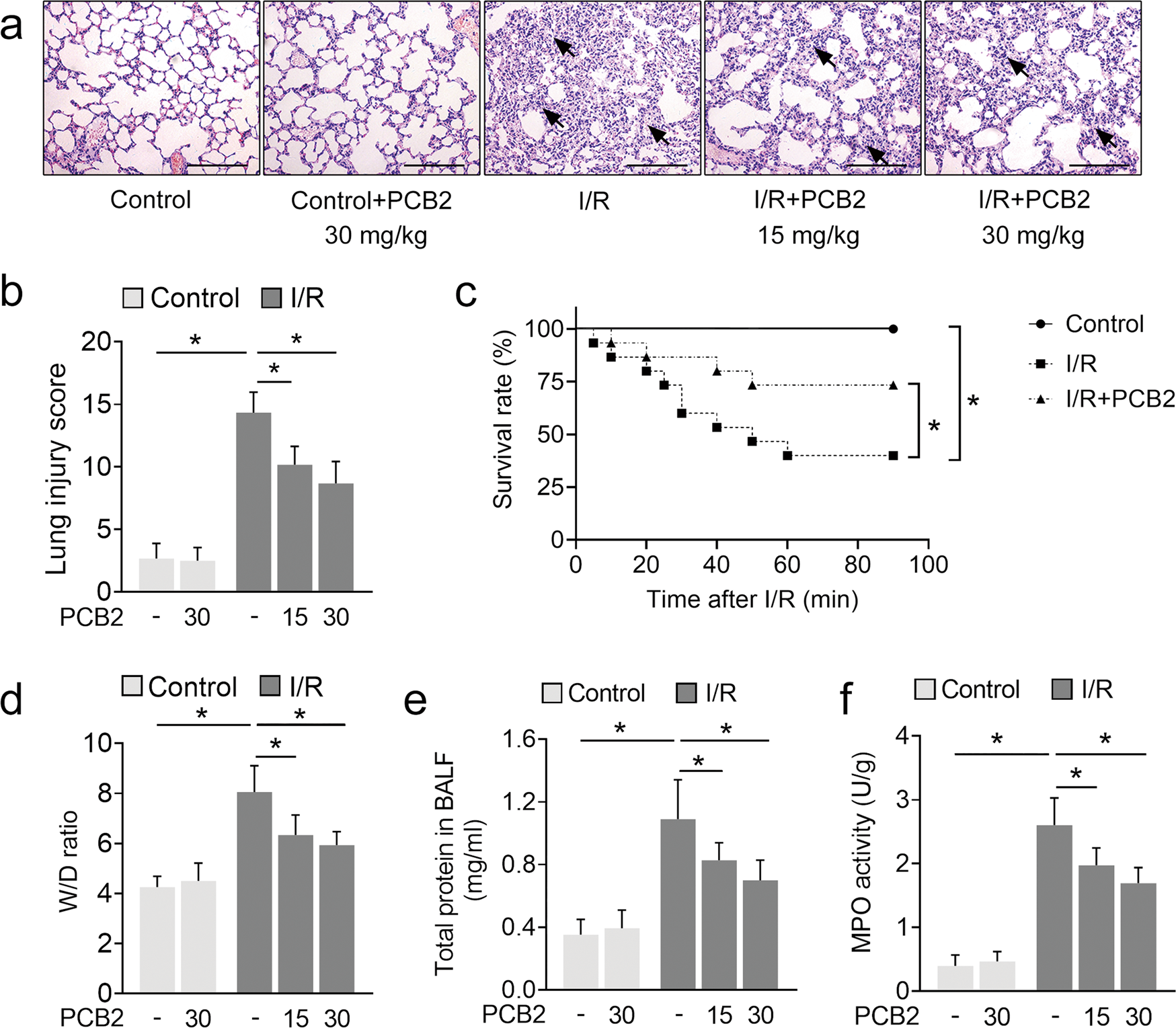 Fig. 1: PCB2 protects against lung I/R injury in mice.