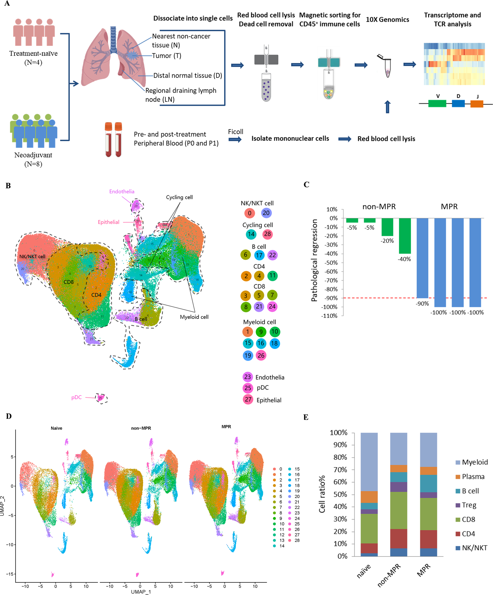 Macrophage cell counts (cells per mm2) in biopsy and tumour resection