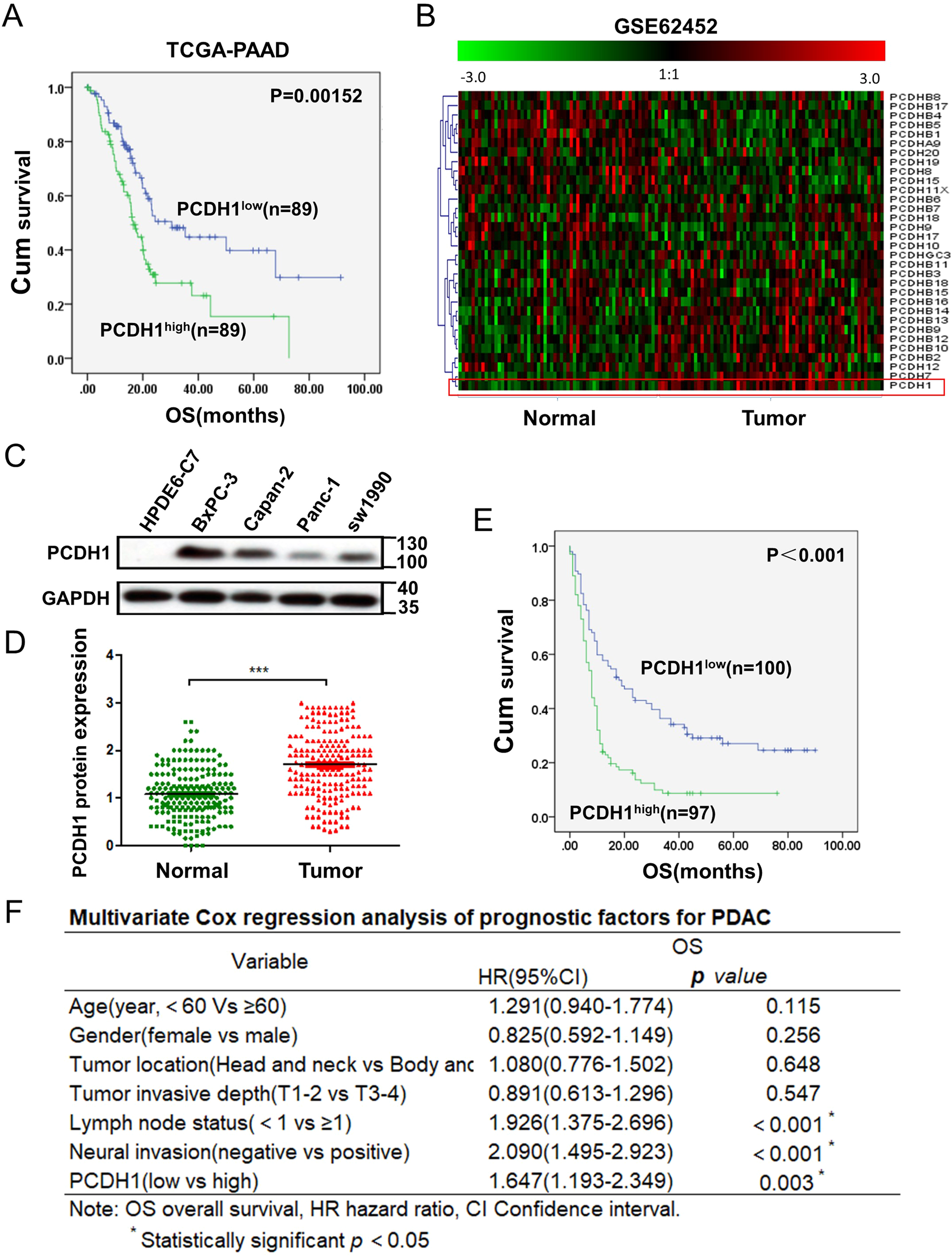 Fig. 1: PCDH1 expression is upregulated in PDAC and predicts poor survival.