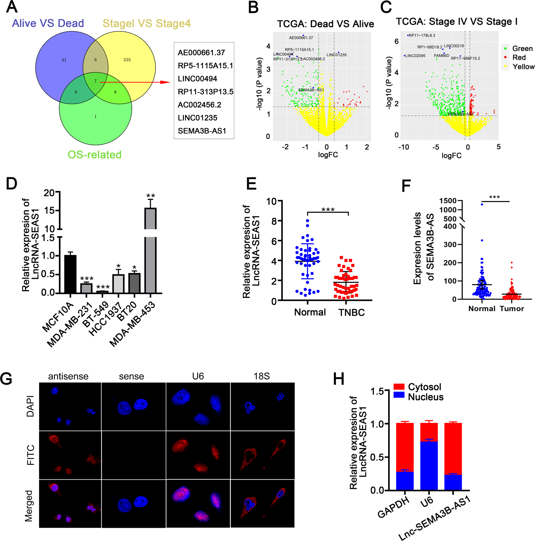 LncRNA SEMA3B-AS1 inhibits breast cancer progression by targeting  miR-3940/KLLN axis | Cell Death & Disease