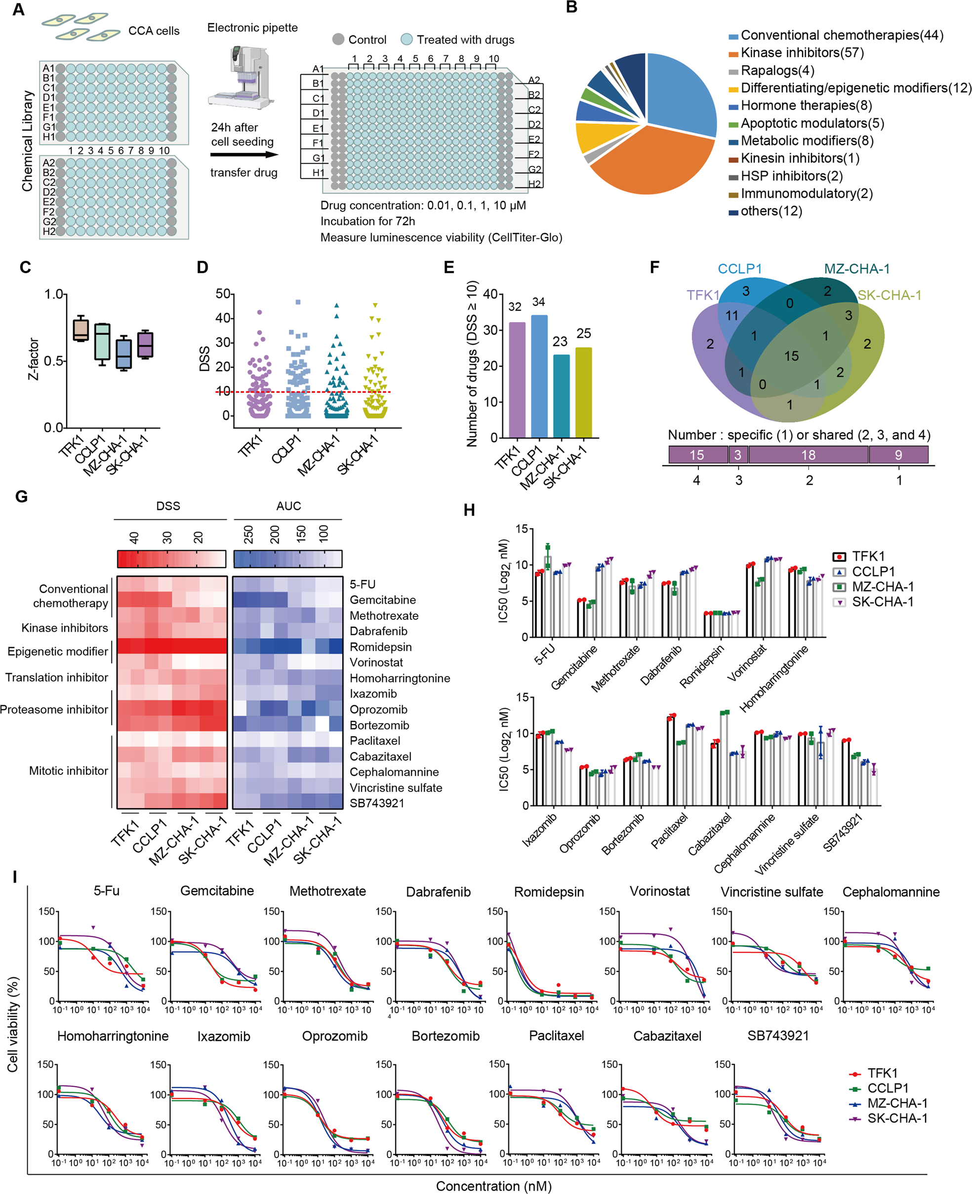 Fig. 1: A high-throughput drug screen to identify drugs targeting CCA.