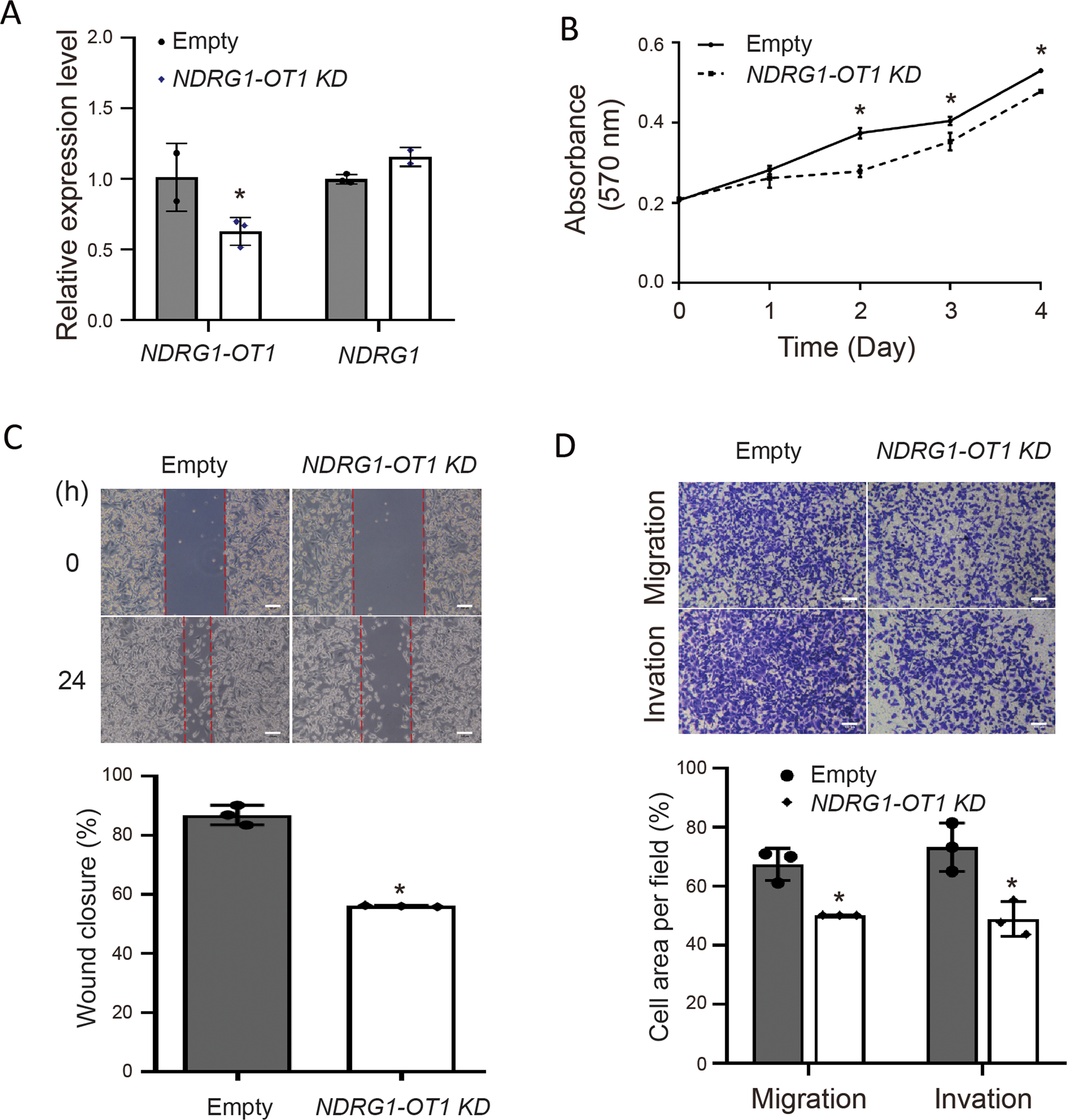Fig. 6: Knockdown of NDRG1-OT1 inhibits tumor malignancy of triple-negative breast cancer MDA-MB-231 cells.