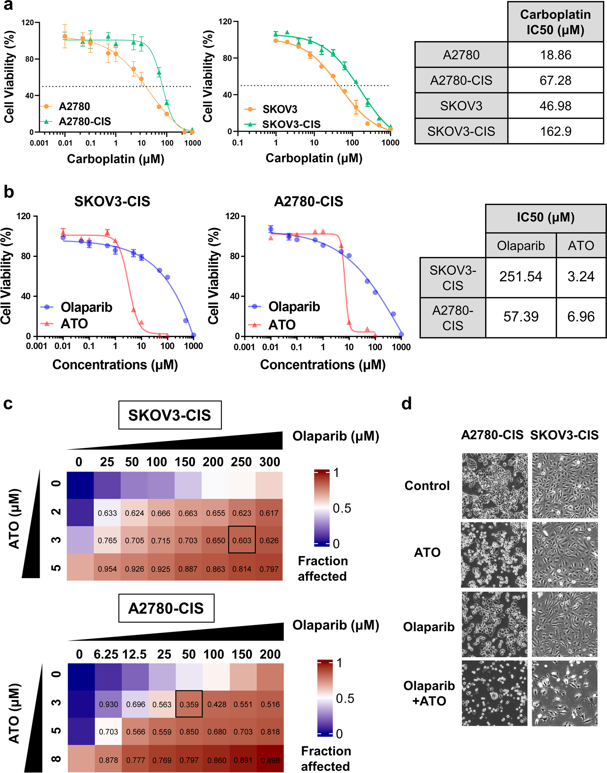 Olaparib Synergizes With Arsenic Trioxide By Promoting Apoptosis And Ferroptosis In Platinum Resistant Ovarian Cancer Cell Death Disease