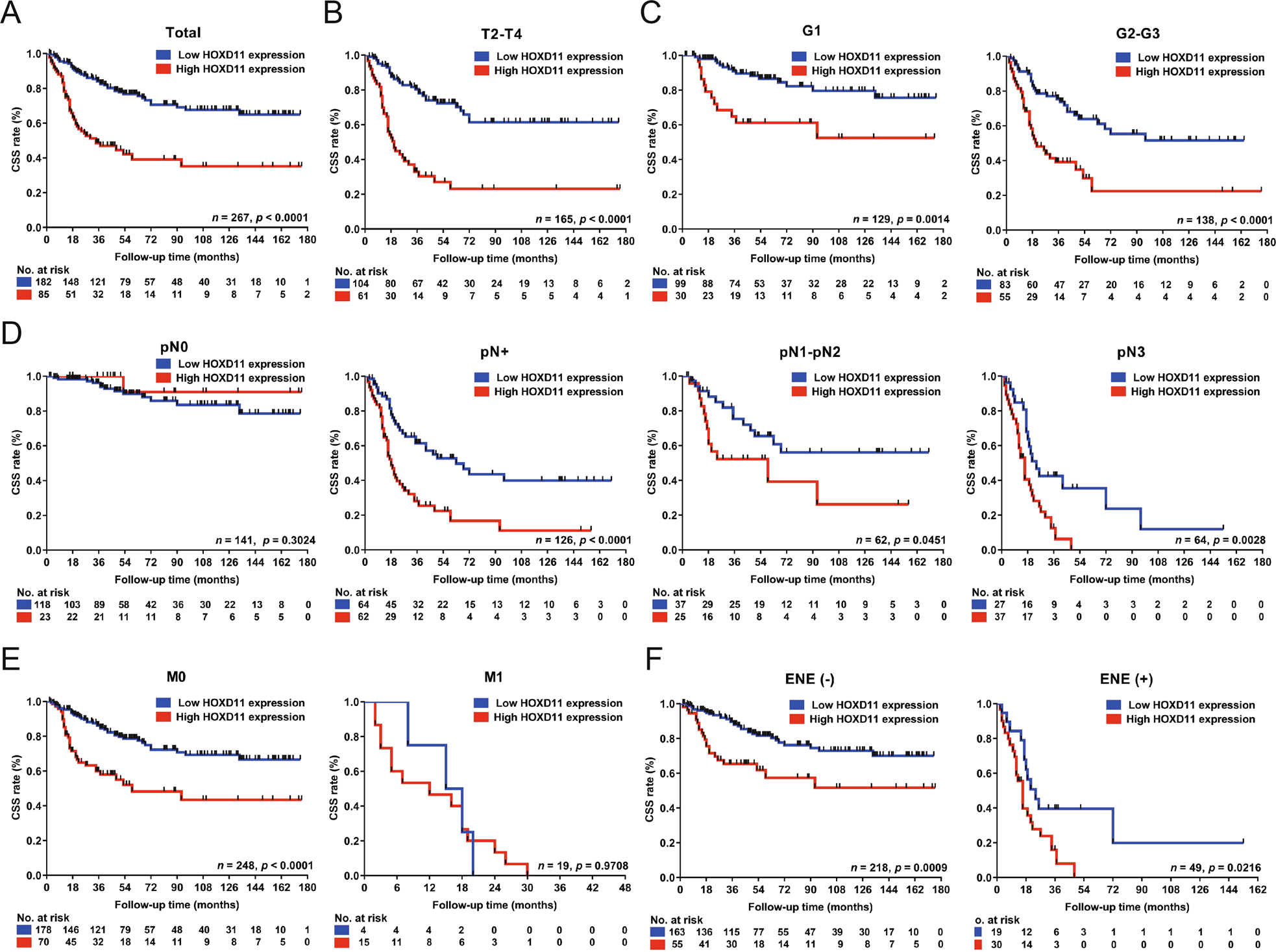 Fig. 2: HOXD11 overexpression was associated with poor clinical features and survival in 267 PSCC patients.