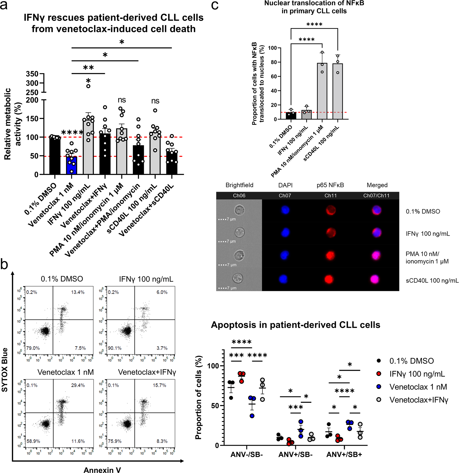Inhibition of p38 MAPK or immunoproteasome overcomes resistance of chronic  lymphocytic leukemia cells to Bcl-2 antagonist venetoclax | Cell Death &  Disease