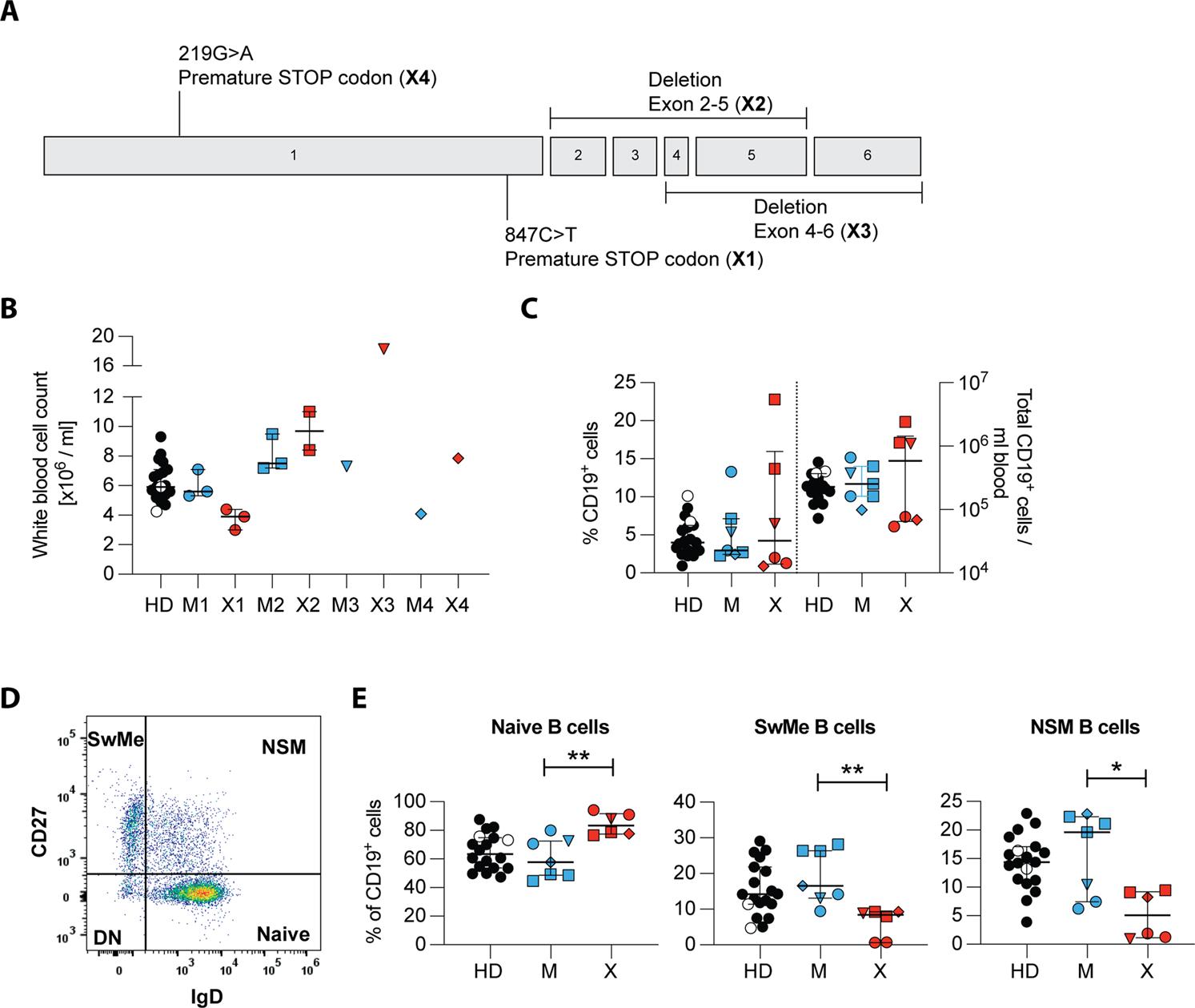 Fig. 2: Phenotypic characterization of peripheral blood lymphocytes in XIAP-deficient patients and their mothers.