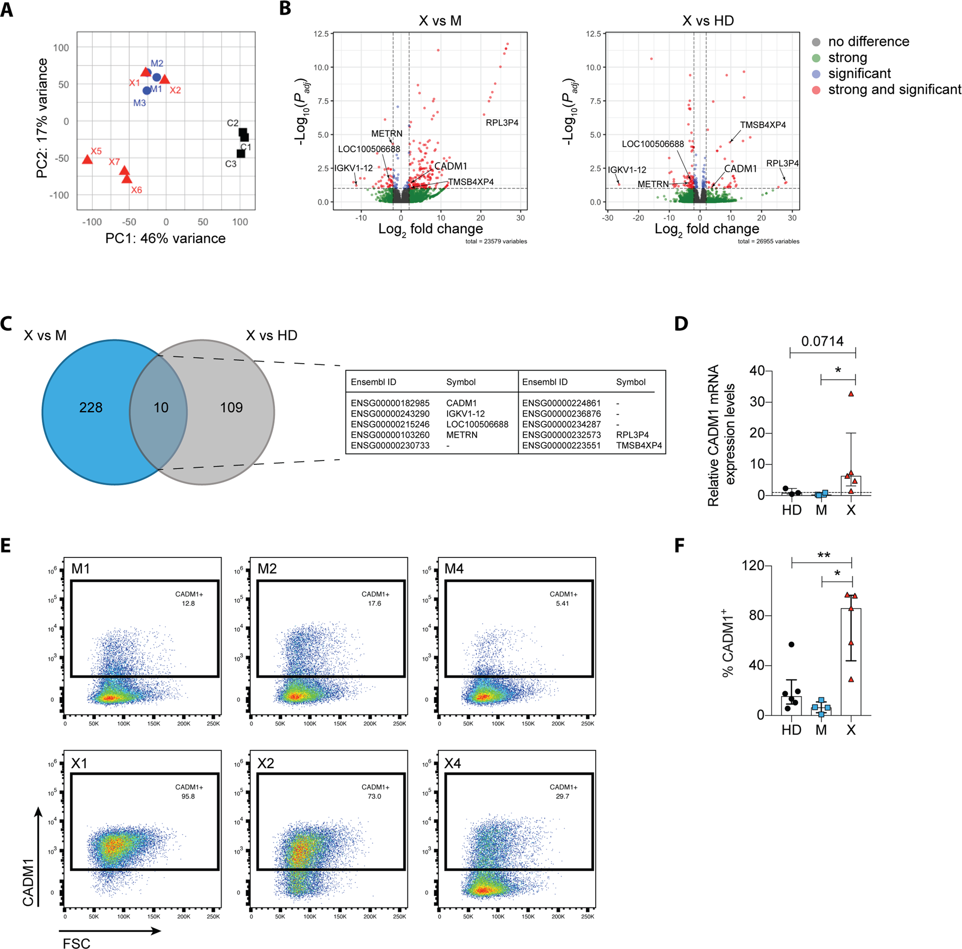 Fig. 5: CADM1 expression is upregulated in XIAP patient-derived LCLs compared to healthy donors and mothers.