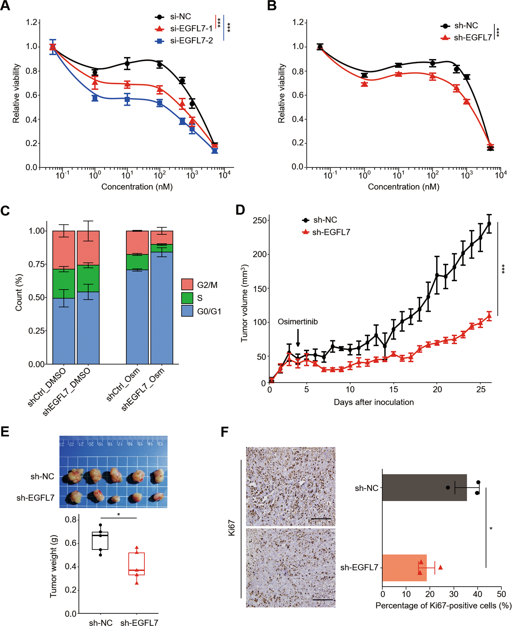 Fig. 2: EGFL7 promotes resistance to EGFR inhibitors in acquired resistance phase.