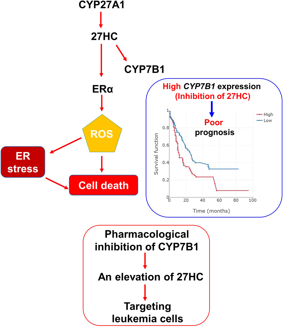 Fig. 6: Schematic model.
