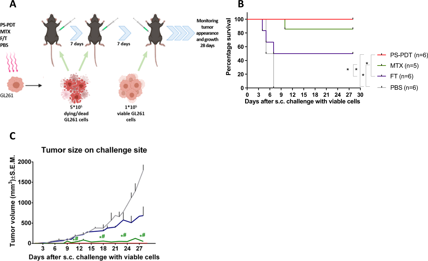 Fig. 1: Vaccination with glioma GL261 cells pulsed with PS-PDT in the subcutaneous prophylactic vaccination mouse model.