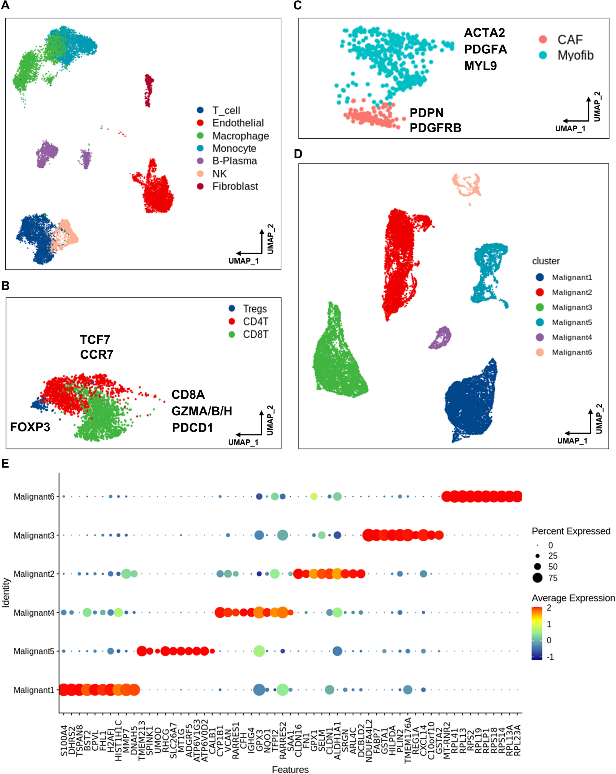 Fig. 2: RCC primary and metastatic tumors in scRNA-seq characterization.