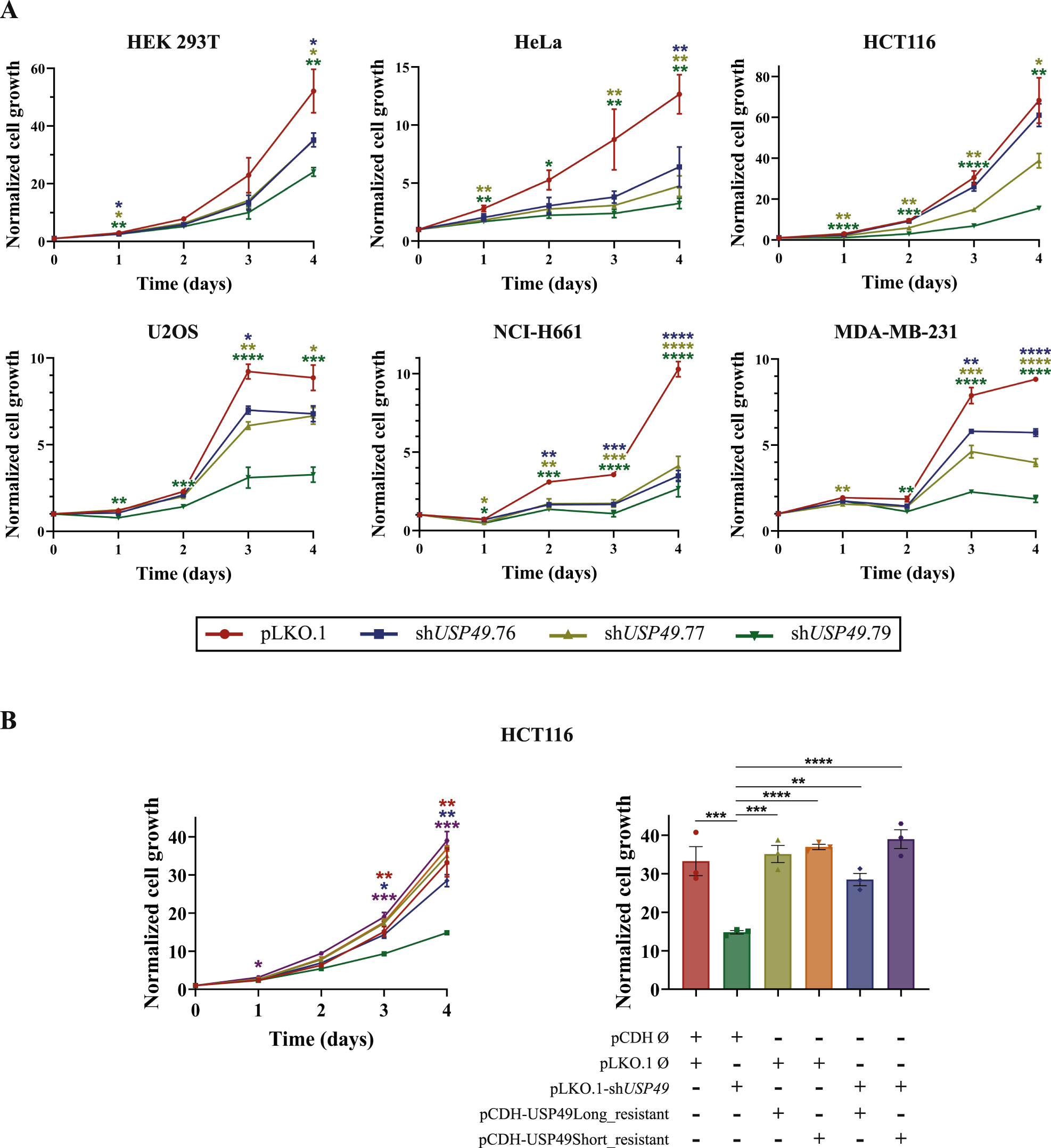 Fig. 1: USP49 depletion impairs cell proliferation.