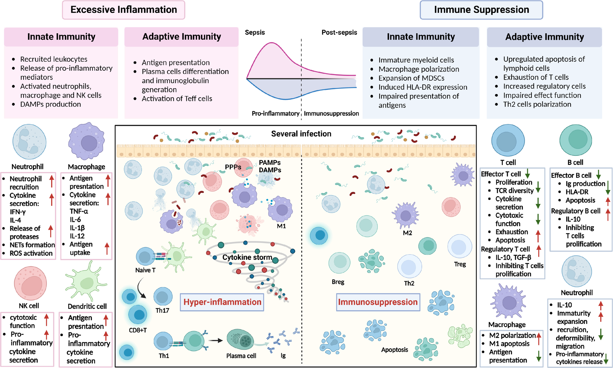 Epigenetic mechanisms of Immune remodeling in sepsis: targeting