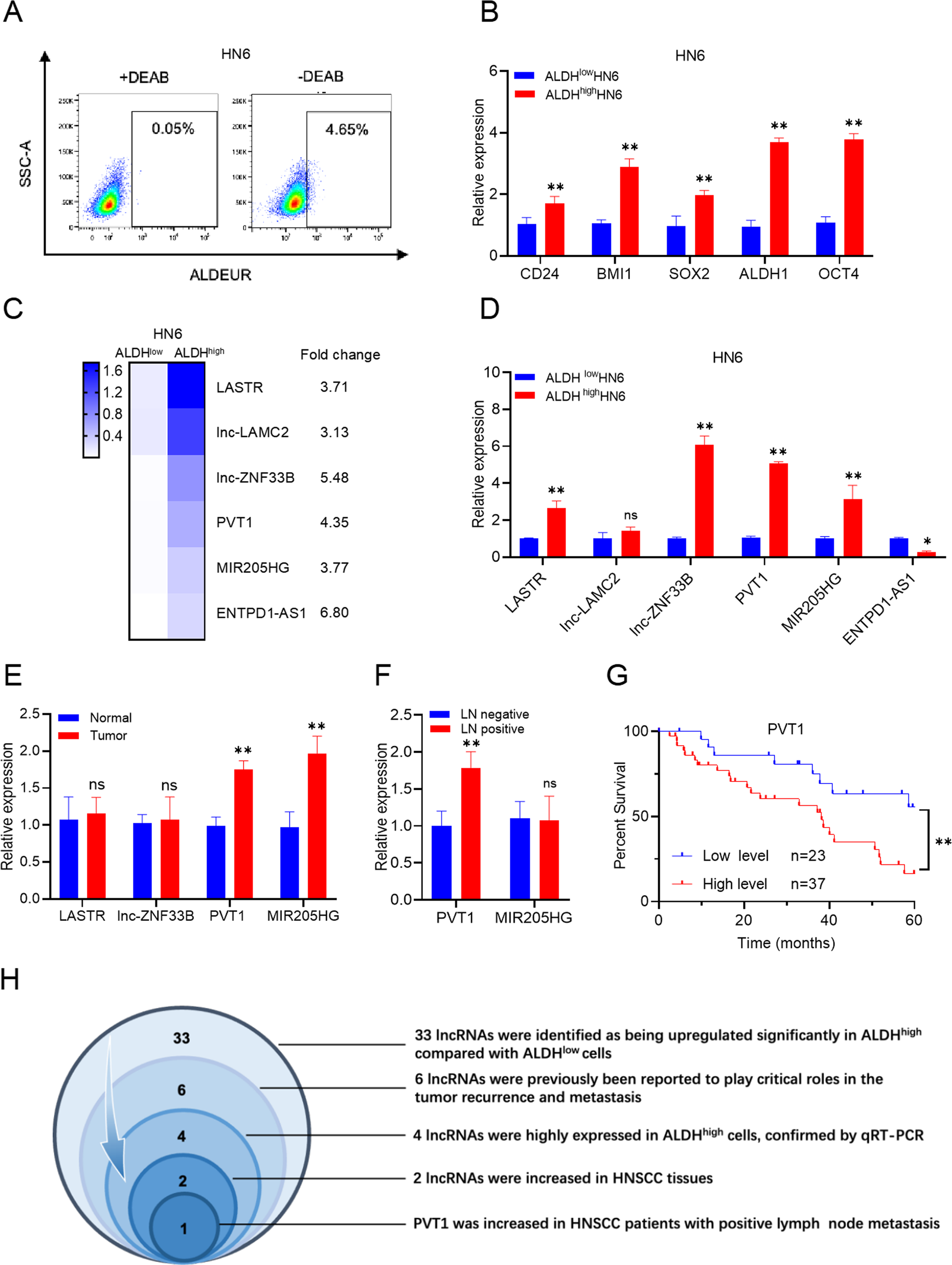 PVT1 inhibition stimulates anti-tumor immunity, prevents metastasis, and  depletes cancer stem cells in squamous cell carcinoma | Cell Death & Disease