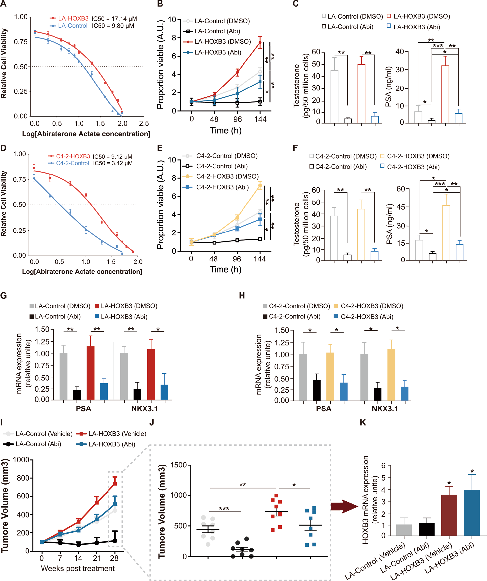 Fig. 2: HOXB3 promotes CRPC resistance to abiraterone in vitro and in vivo, see also Fig. S1.