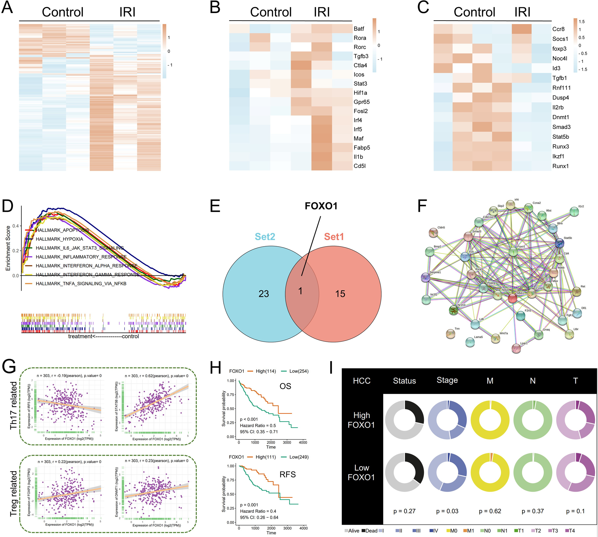 Fig. 3: Transcriptome analysis of naive CD4+ T cells and the exploration of FOXO1 in the database.