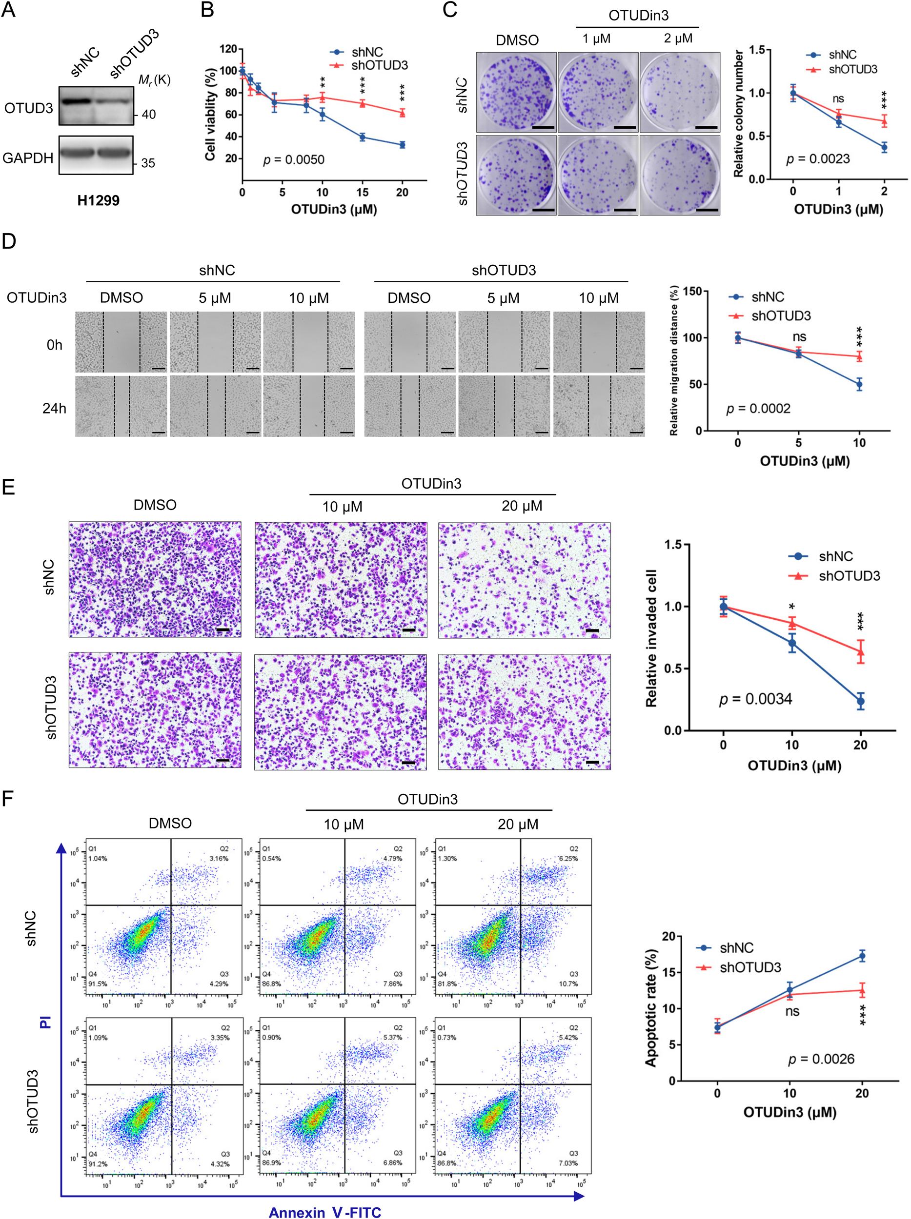 Fig. 3: OTUDin3 inhibits NSCLC cell growth, migration and invasion, and induces apoptosis by targeting OTUD3.
