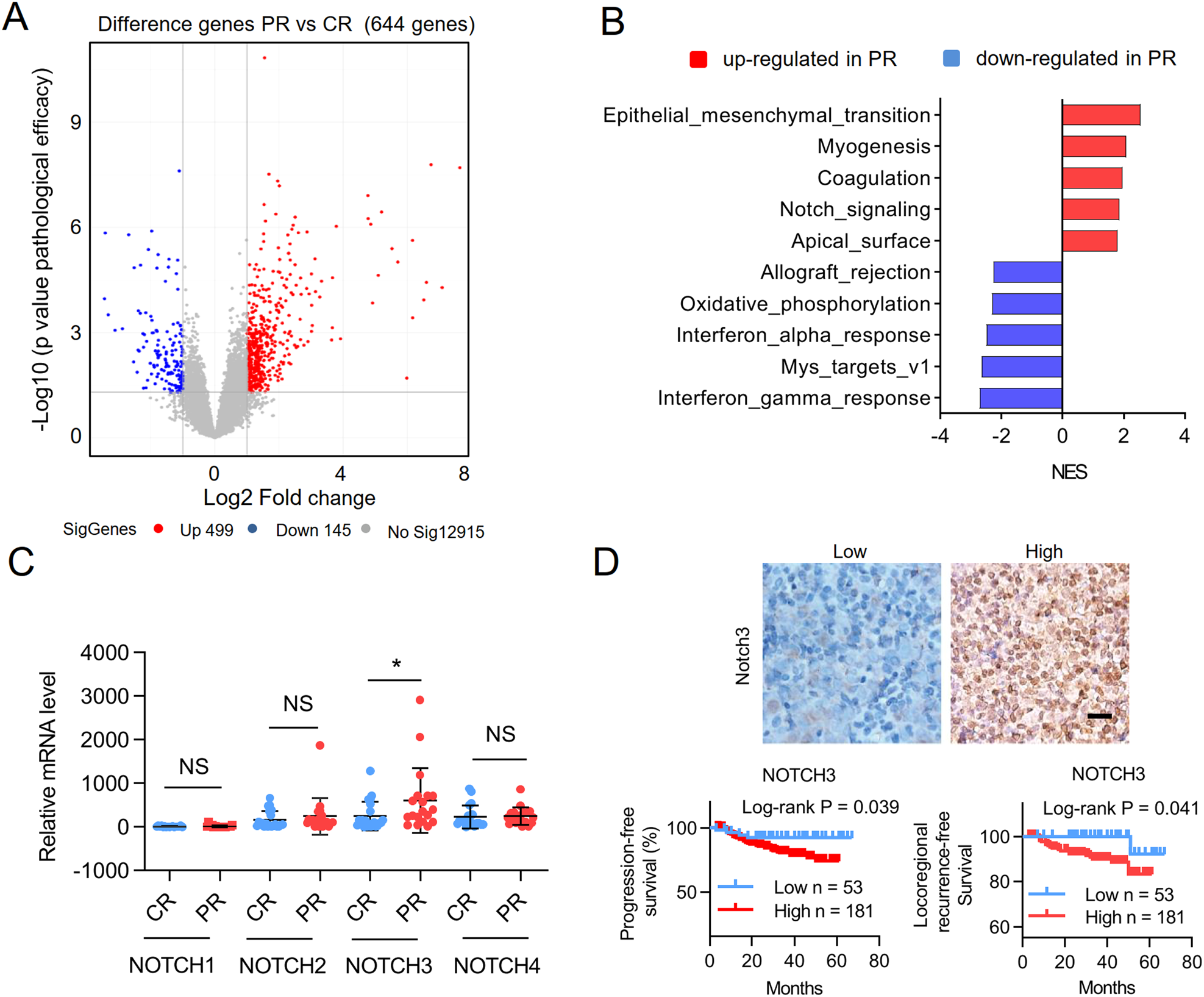 Enhancer remodeling activates NOTCH3 signaling to confer chemoresistance in  advanced nasopharyngeal carcinoma | Cell Death & Disease