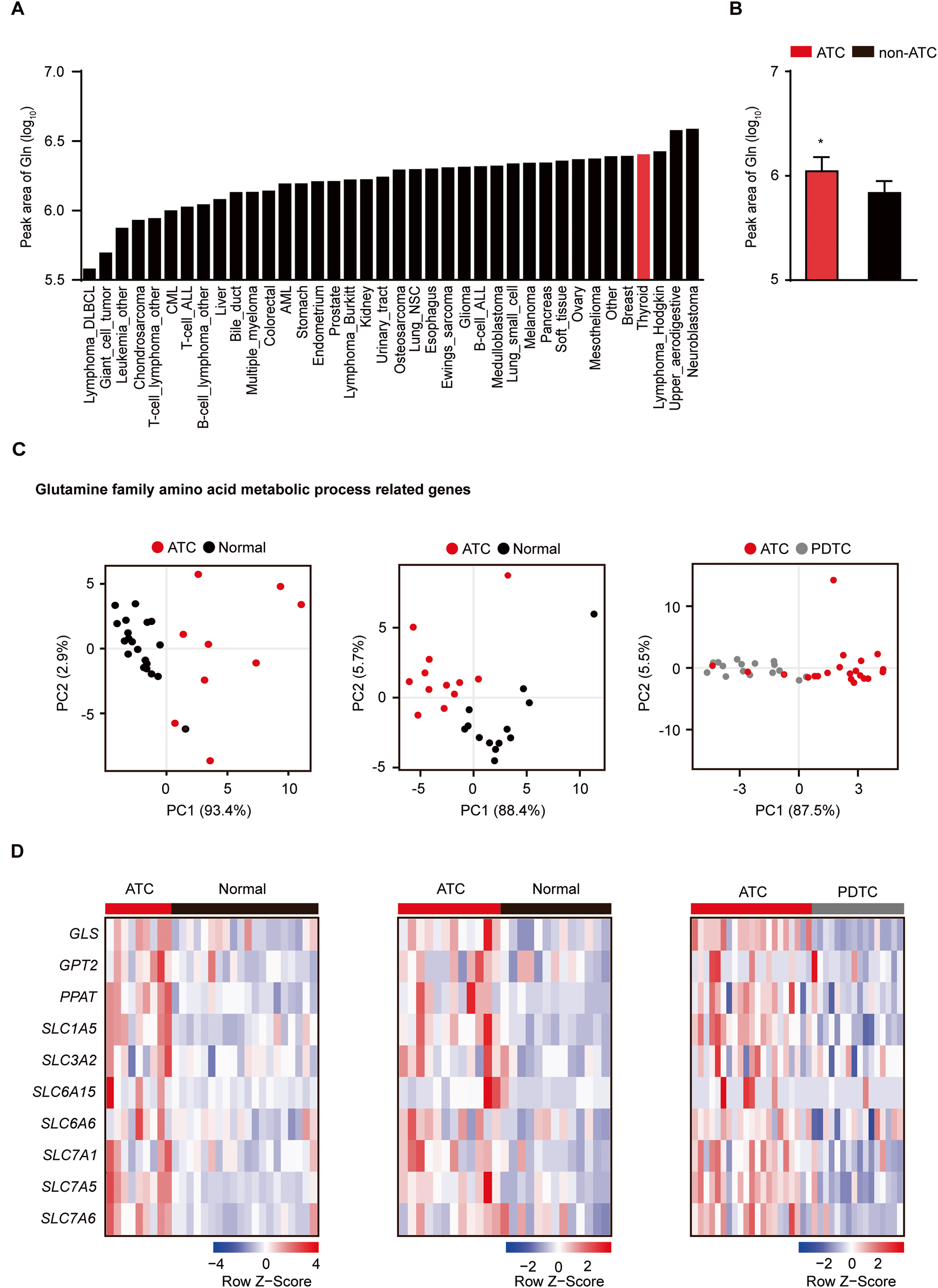 Co-inhibition of glutaminolysis and one-carbon metabolism promotes ROS  accumulation leading to enhancement of chemotherapeutic efficacy in  anaplastic thyroid cancer | Cell Death & Disease