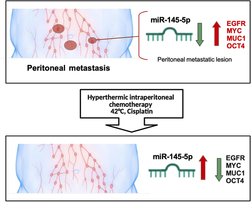 In vivo efficacy testing Clinisciences