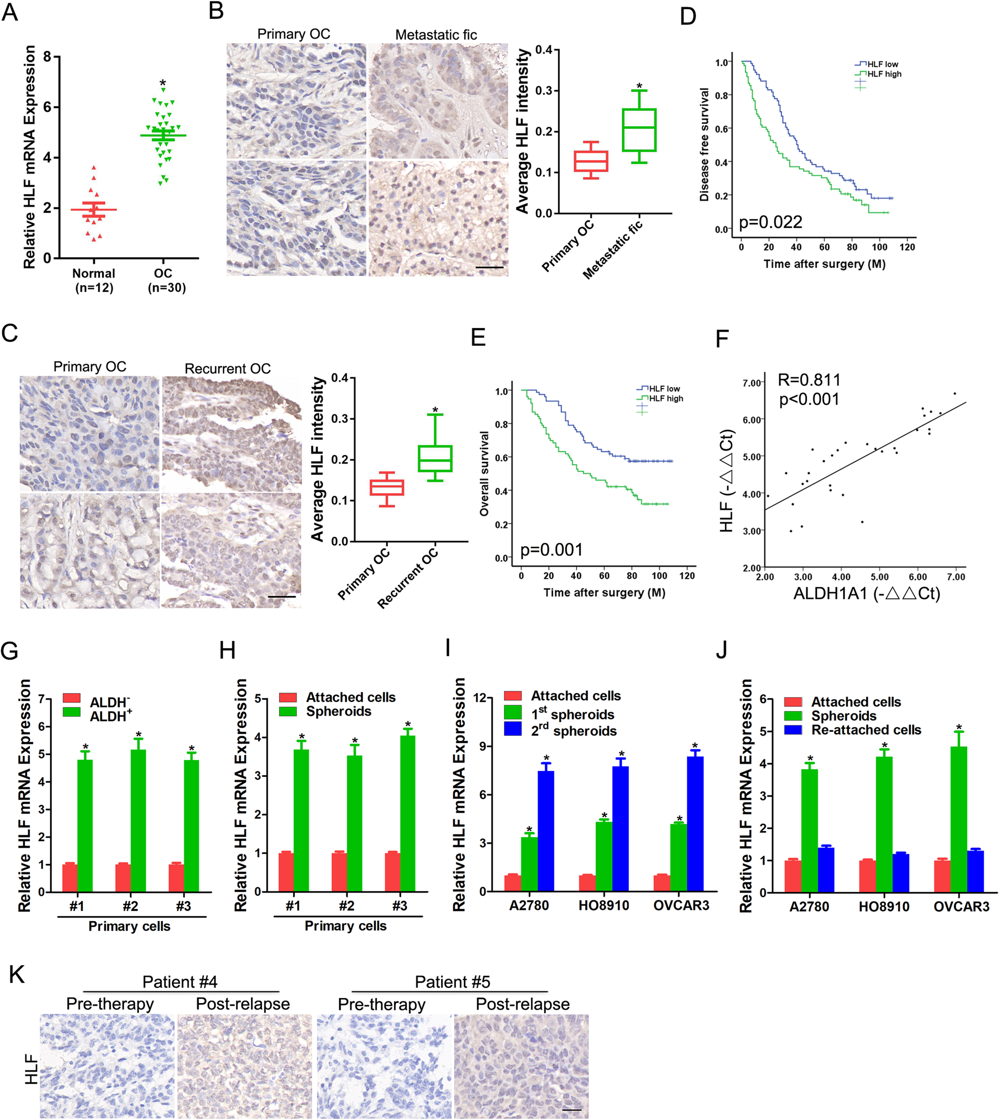 Fig. 1: Expression of HLF is elevated in ovarian cancer tissues and cancer stem cells.