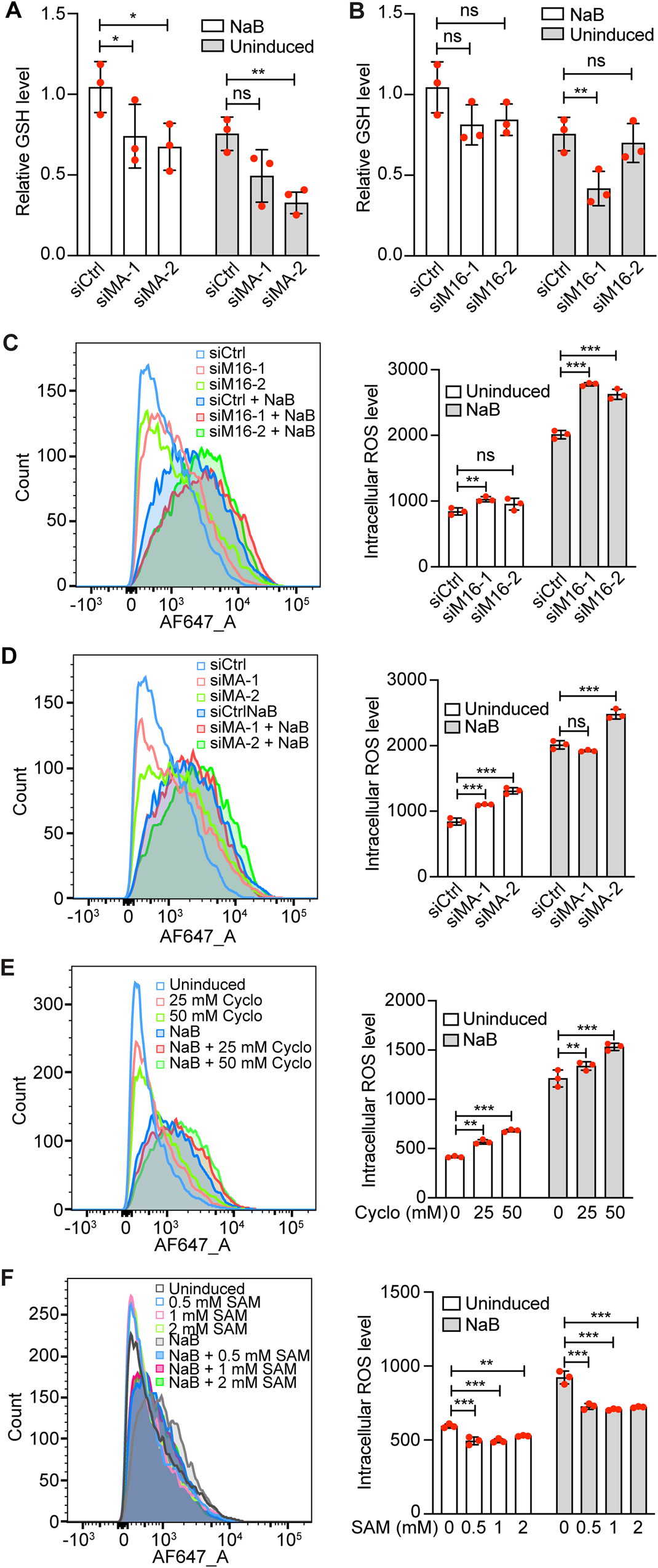Fig. 5: METTL16 and MAT2A regulate intracellular GSH and ROS levels.