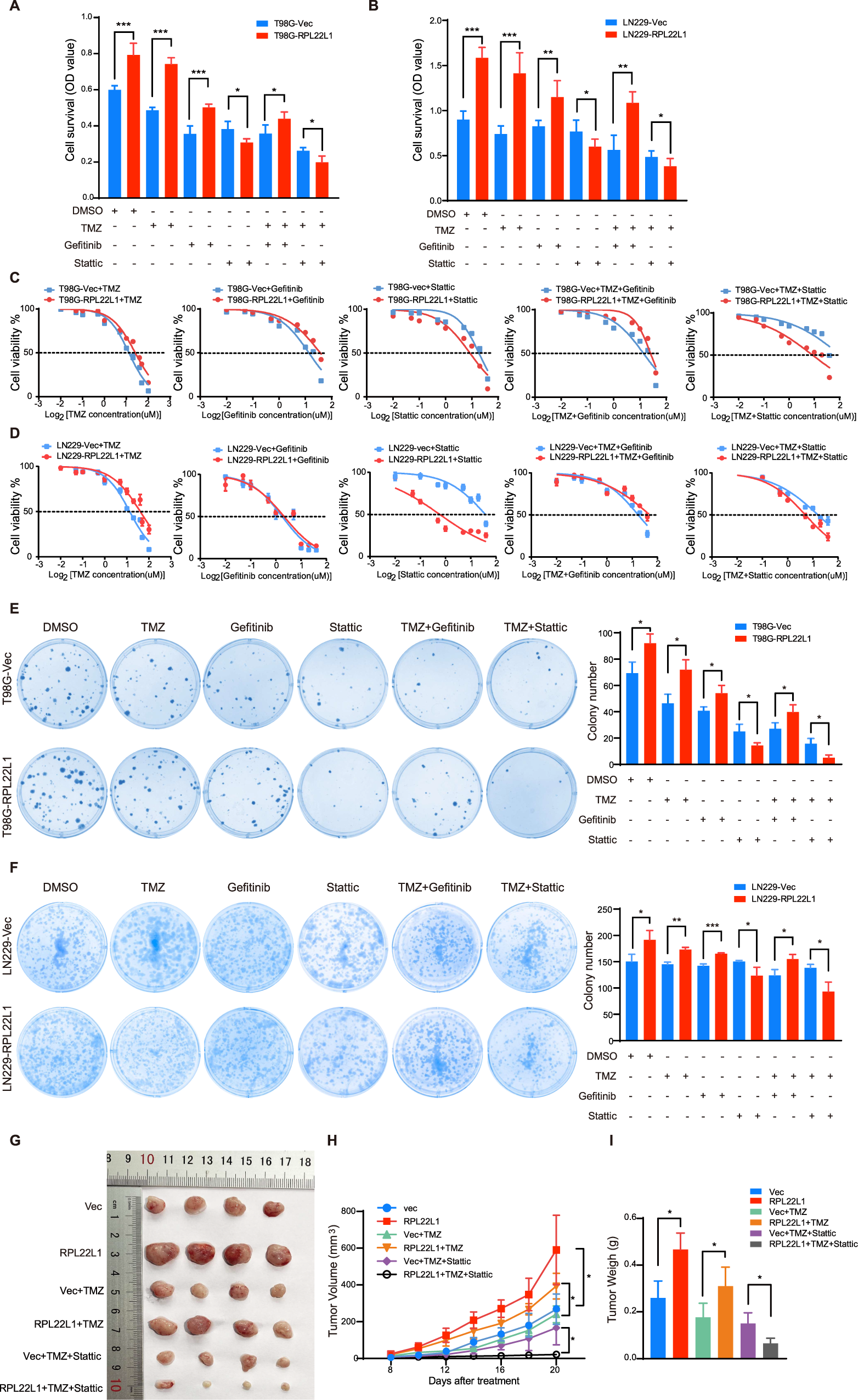 Fig. 5: RPL22L1 enhances TMZ resistance and can be reversed by Stattic.
