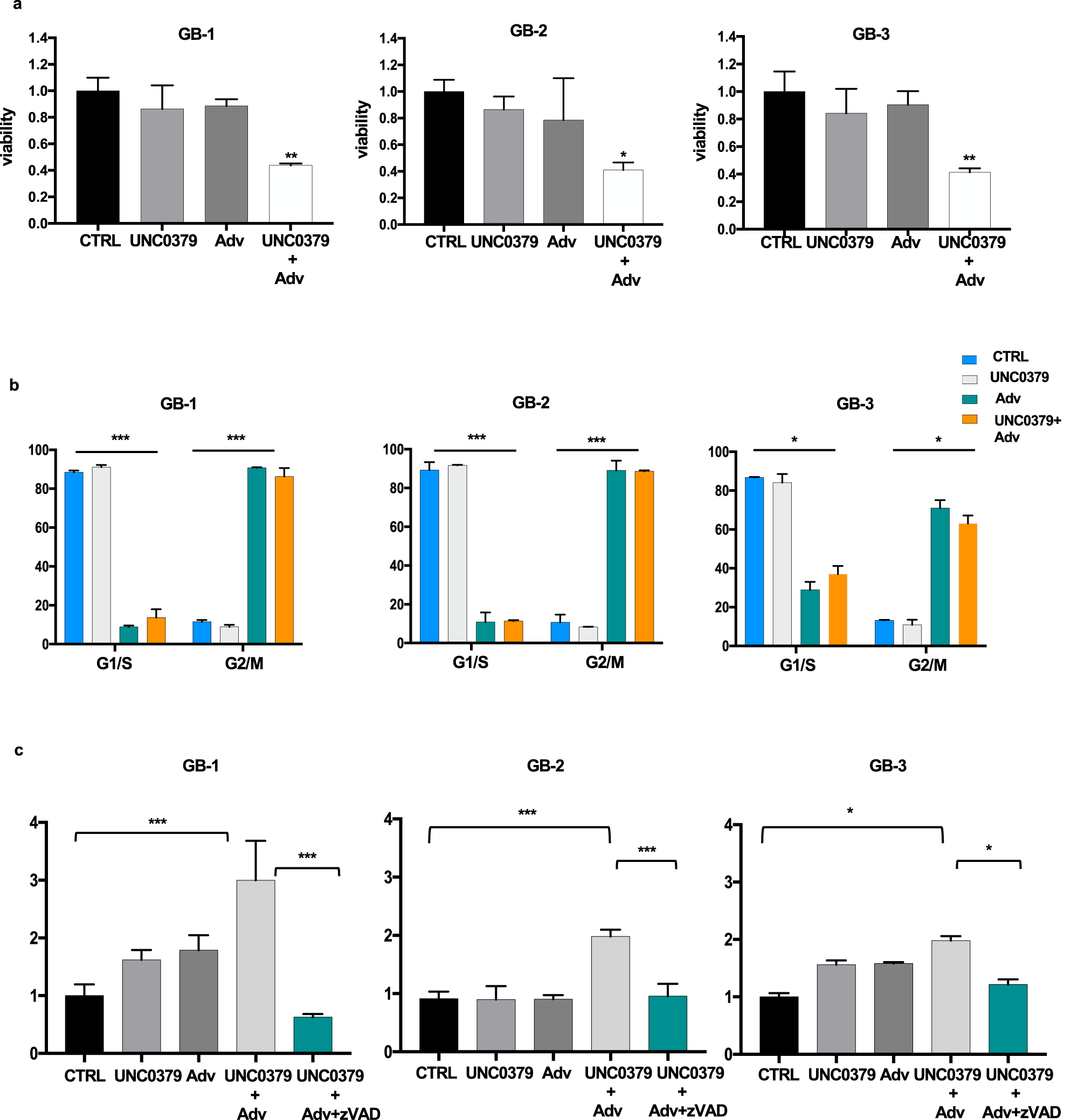 Fig. 6: UNC0379+adavosertib combination induces cell death through mitotic catastrophe in glioblastoma primary cells.
