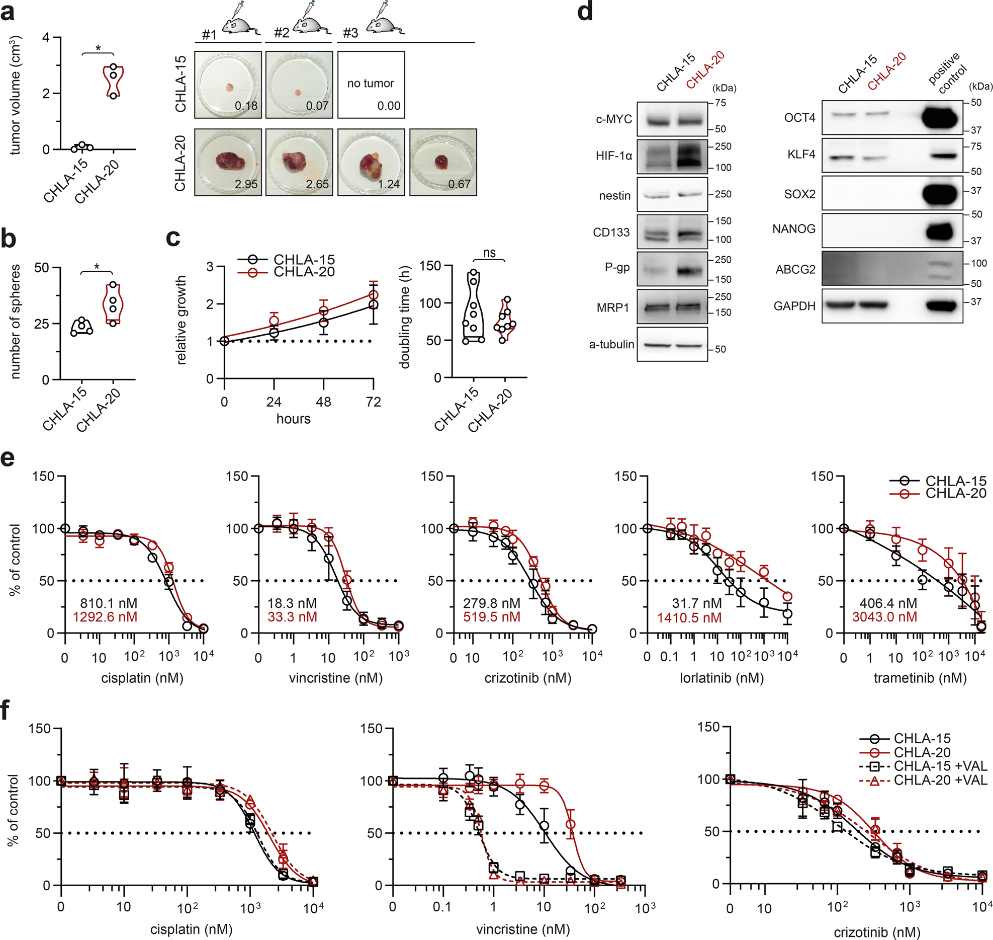Mitoribosomal synthetic lethality overcomes multidrug resistance in  MYC-driven neuroblastoma | Cell Death & Disease