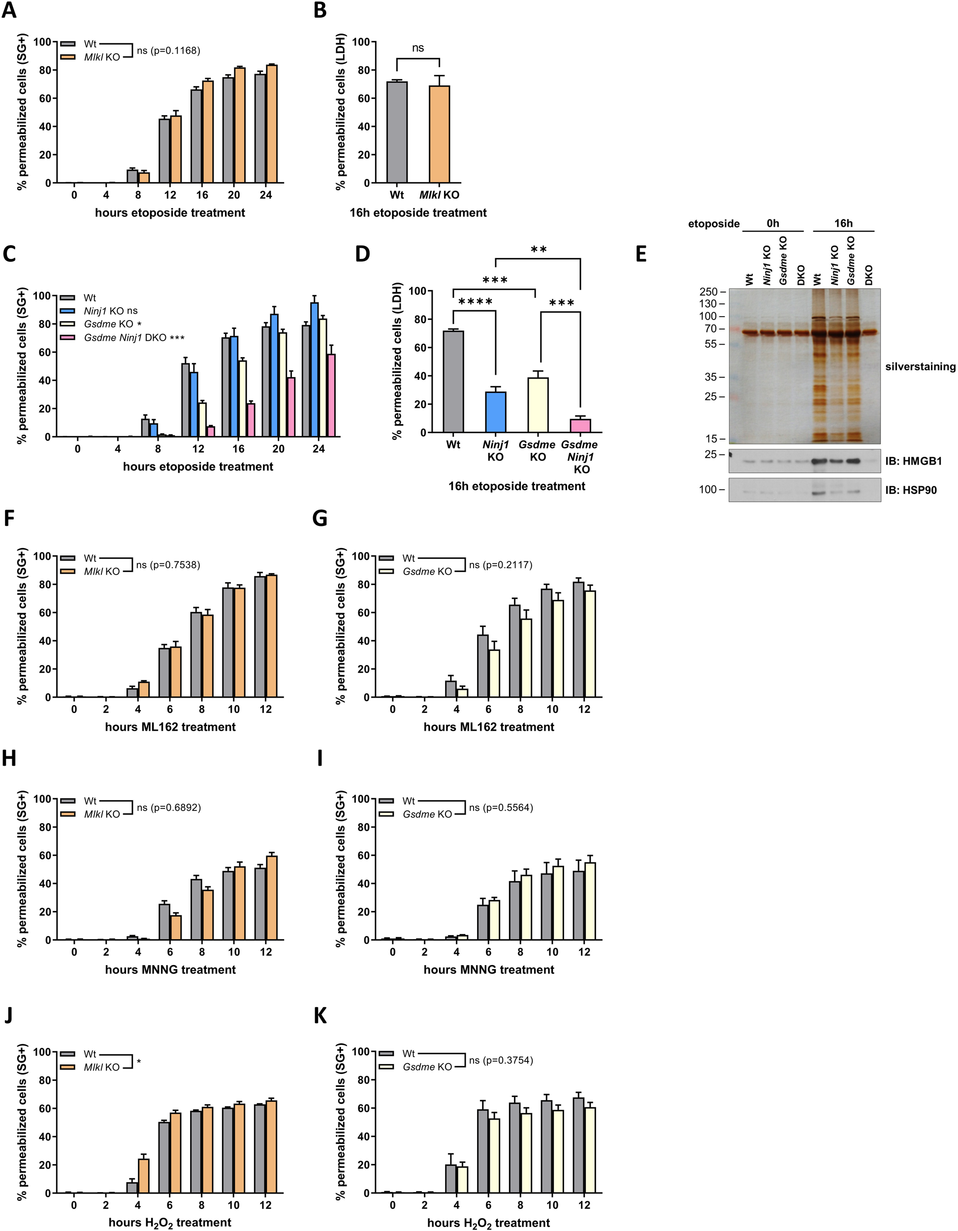Fig. 3: NINJ1 acts independently of the known pore-forming proteins MLKL, GSDMD and GSDME.