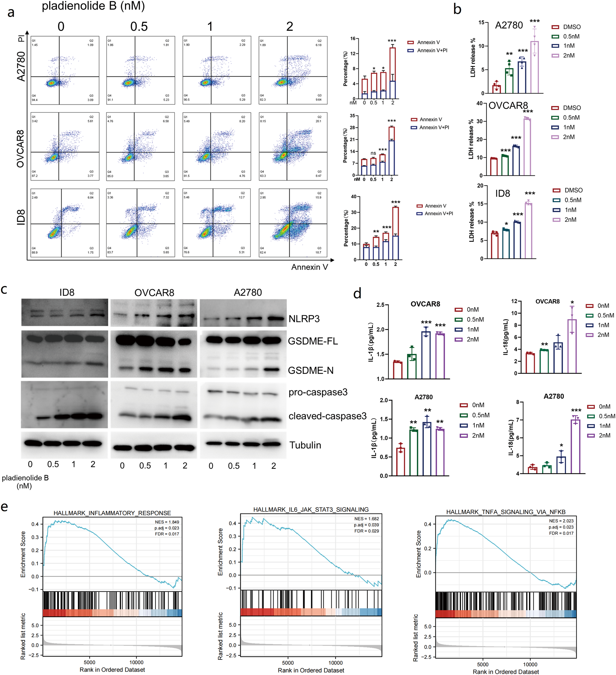 Fig. 3: Pladienolide B induces ovarian cancer cell pyroptosis.