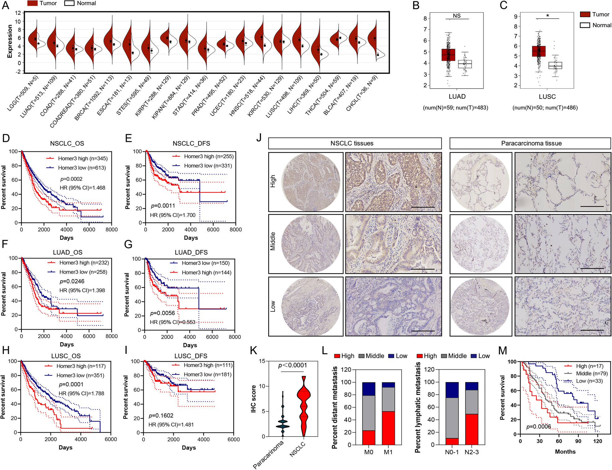 Fig. 1: HOMER3 is upregulated and associated with a poor prognosis in NSCLC.