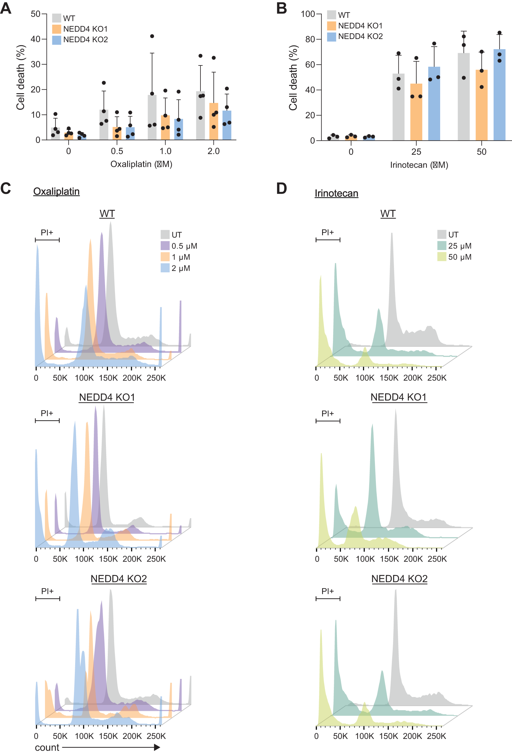 Fig. 3: Knockout of NEDD4 does not show cross-resistance to oxaliplatin and irinotecan-induced apoptosis.