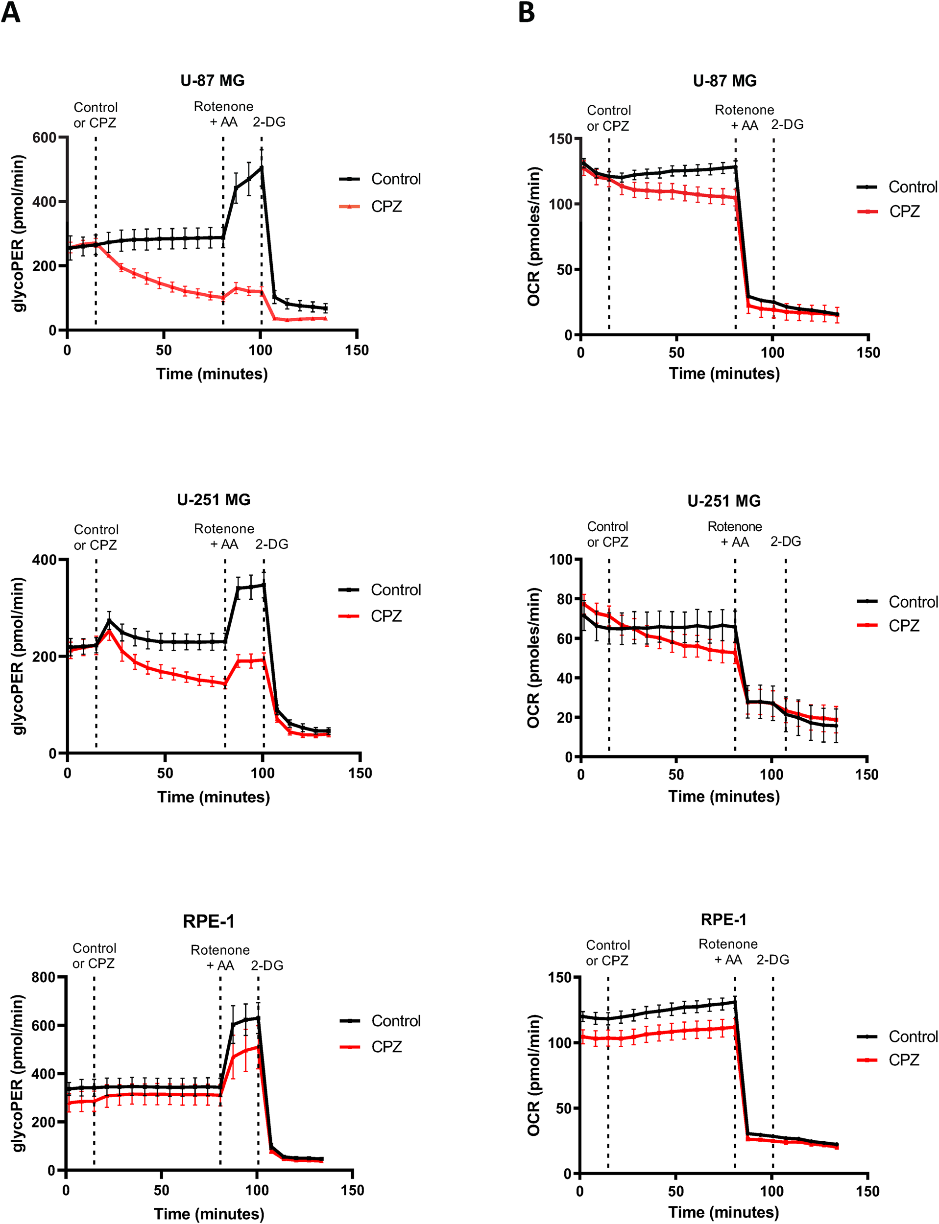 Fig. 3: Interference of CPZ with glucose metabolism in GBM cells.