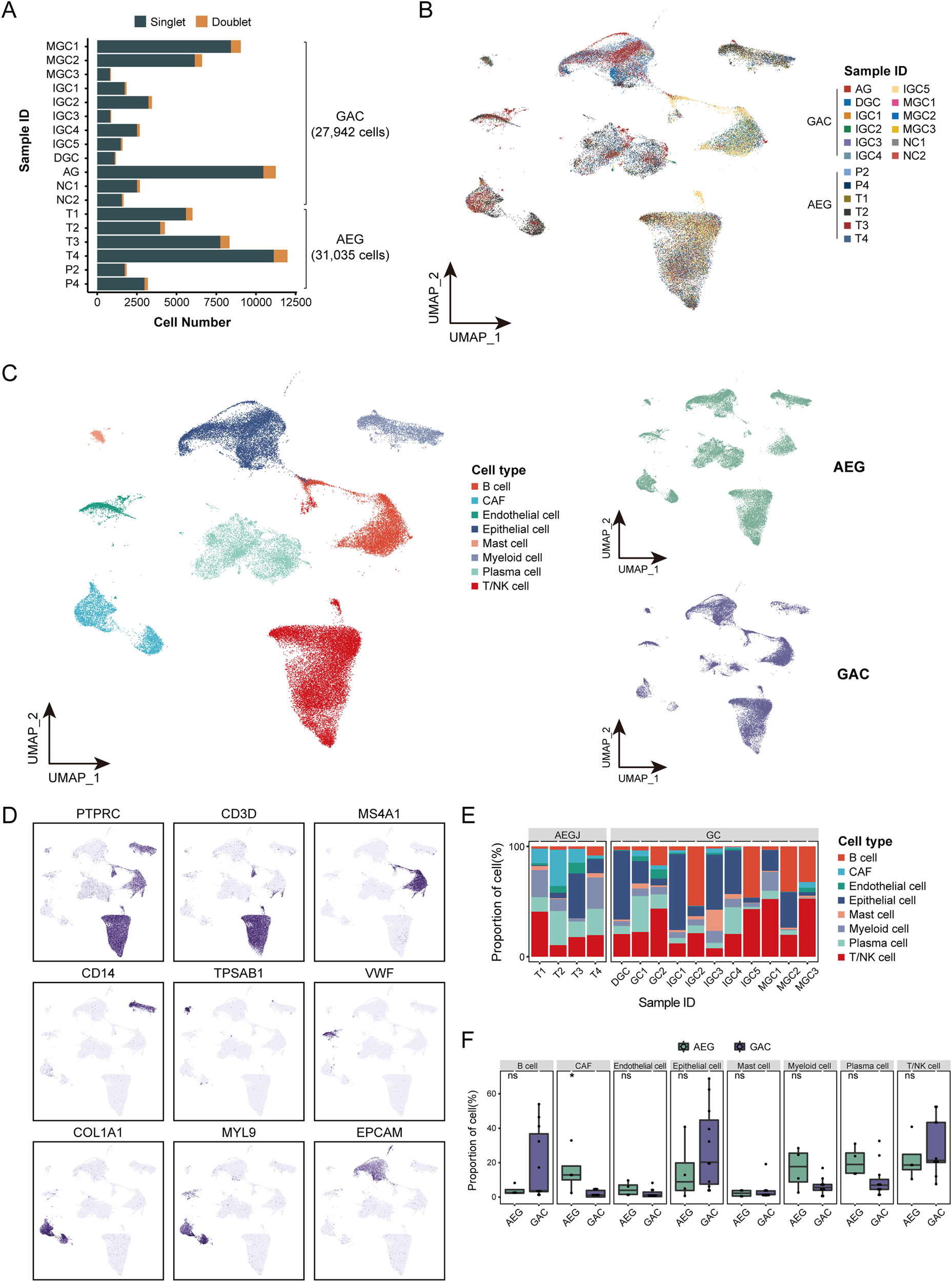 Fig. 1: The landscape profiling of single cells in AEG and GAC tumors.